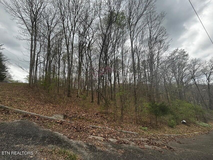 0000 Co Road 197 Athens TN 37303
