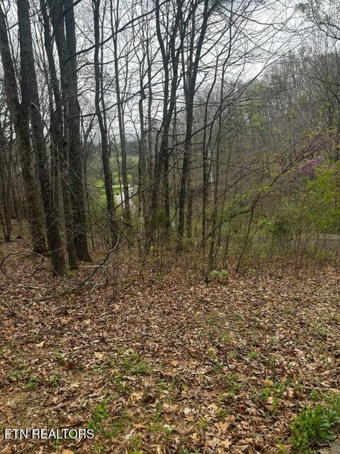 0000 Co Road 197 Athens TN 37303