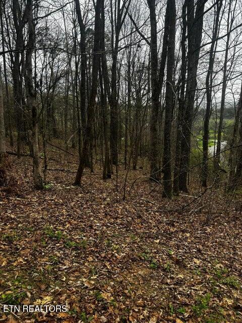 0000 Co Road 197 Athens TN 37303