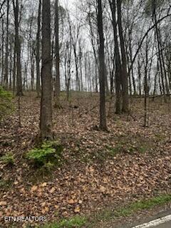 0000 Co Road 197 Athens TN 37303