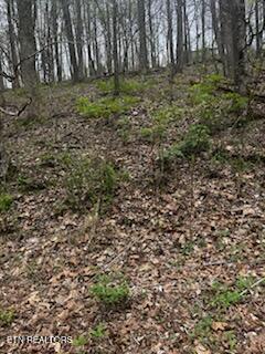 0000 Co Road 197 Athens TN 37303