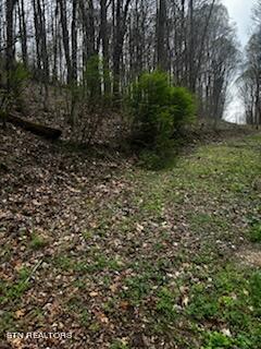 0000 Co Road 197 Athens TN 37303