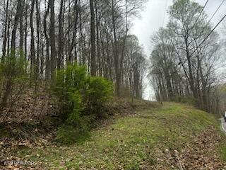 0000 Co Road 197 Athens TN 37303