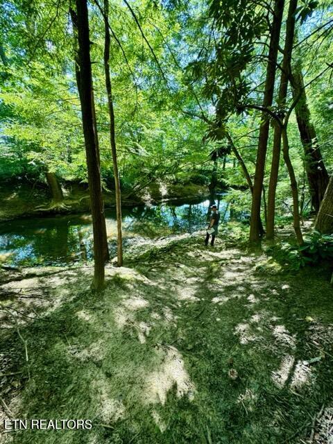 59 Union Hill Road Sunbright TN 37872
