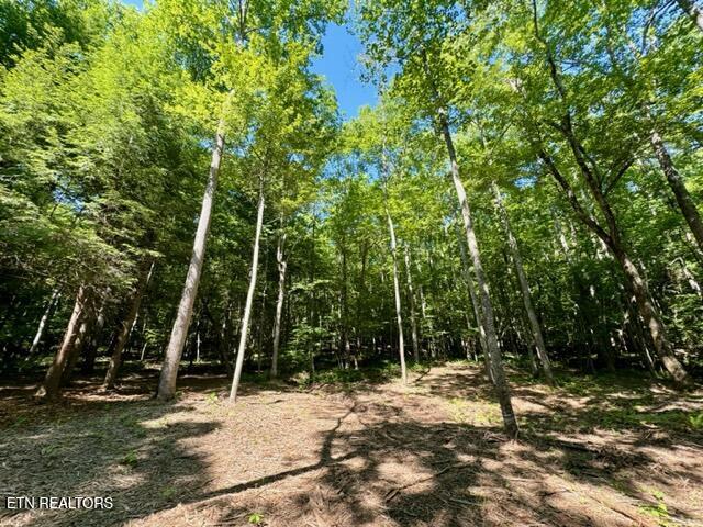 59 Union Hill Road Sunbright TN 37872