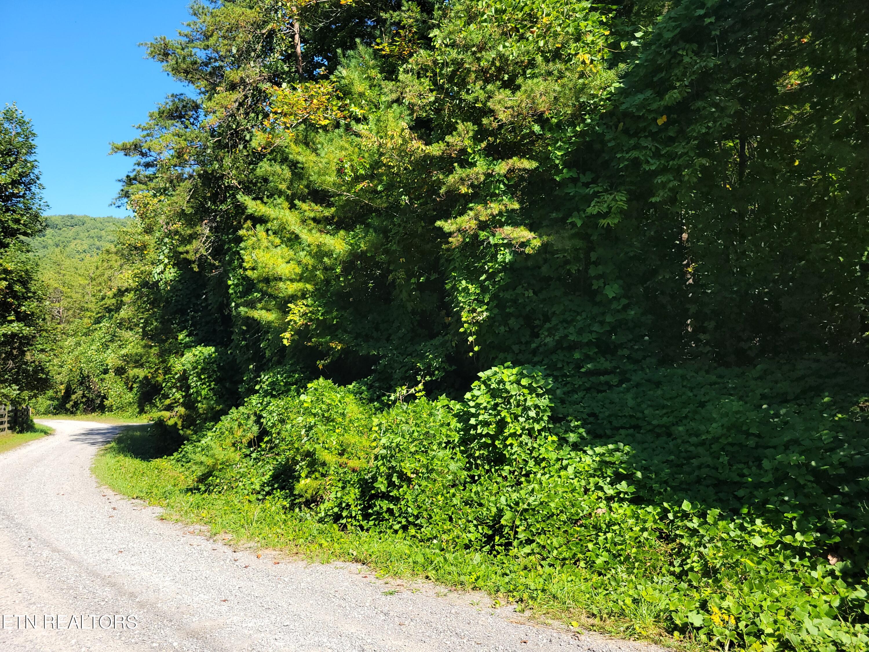 Lot 39 Sugar Maple Way Del Rio TN 37727