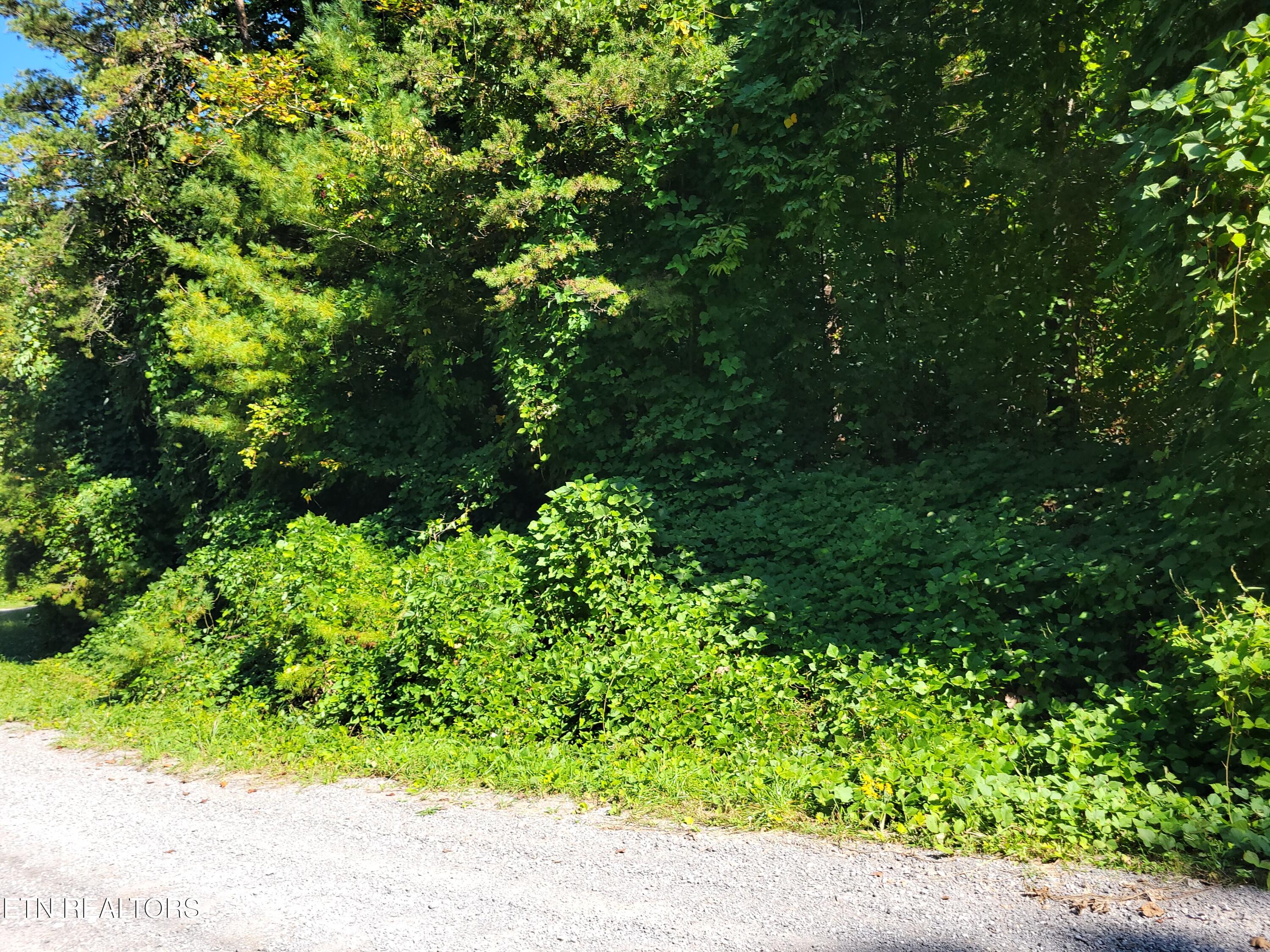 Lot 39 Sugar Maple Way Del Rio TN 37727