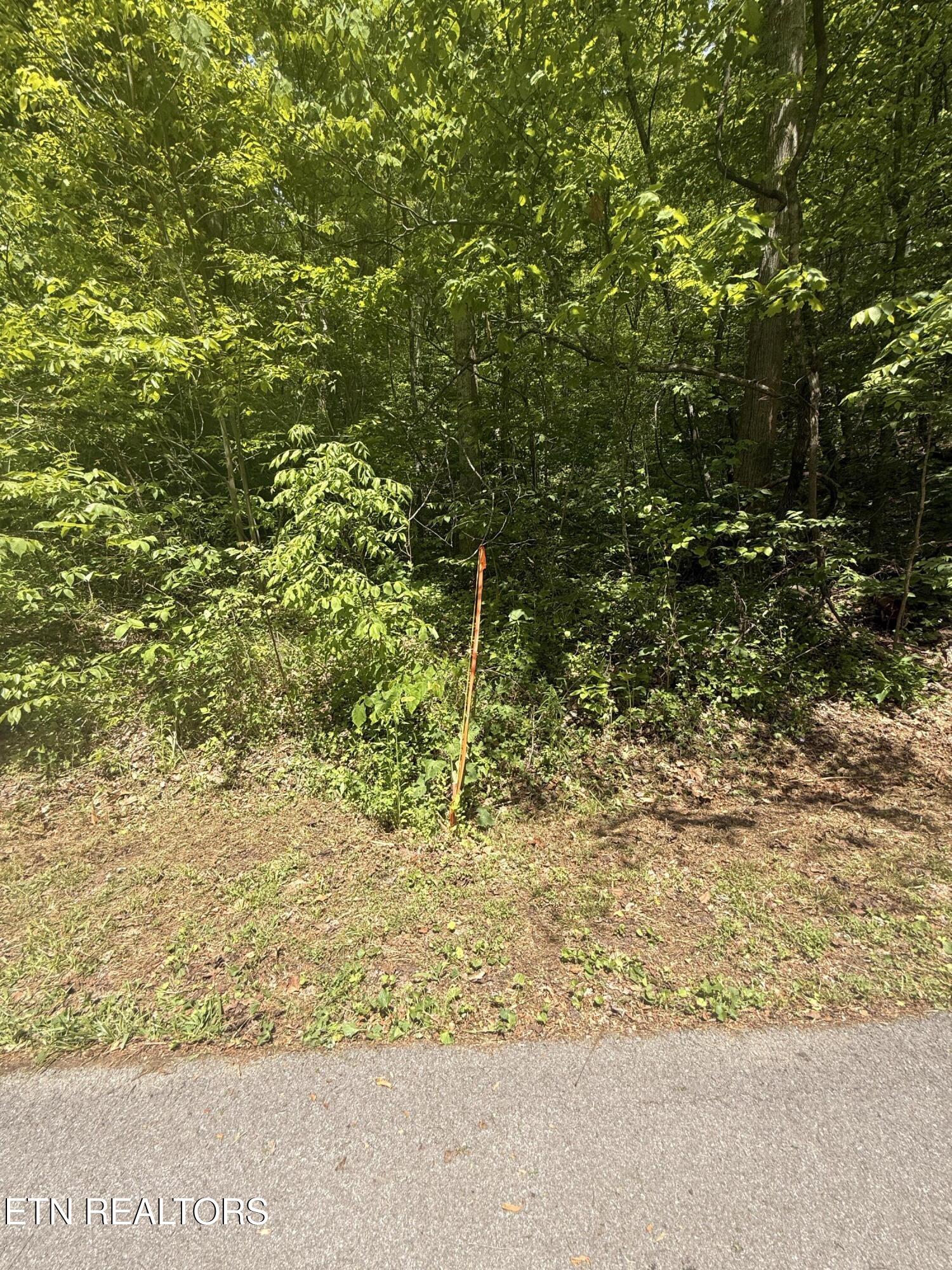 4045 Suttons Road Sevierville TN 37876