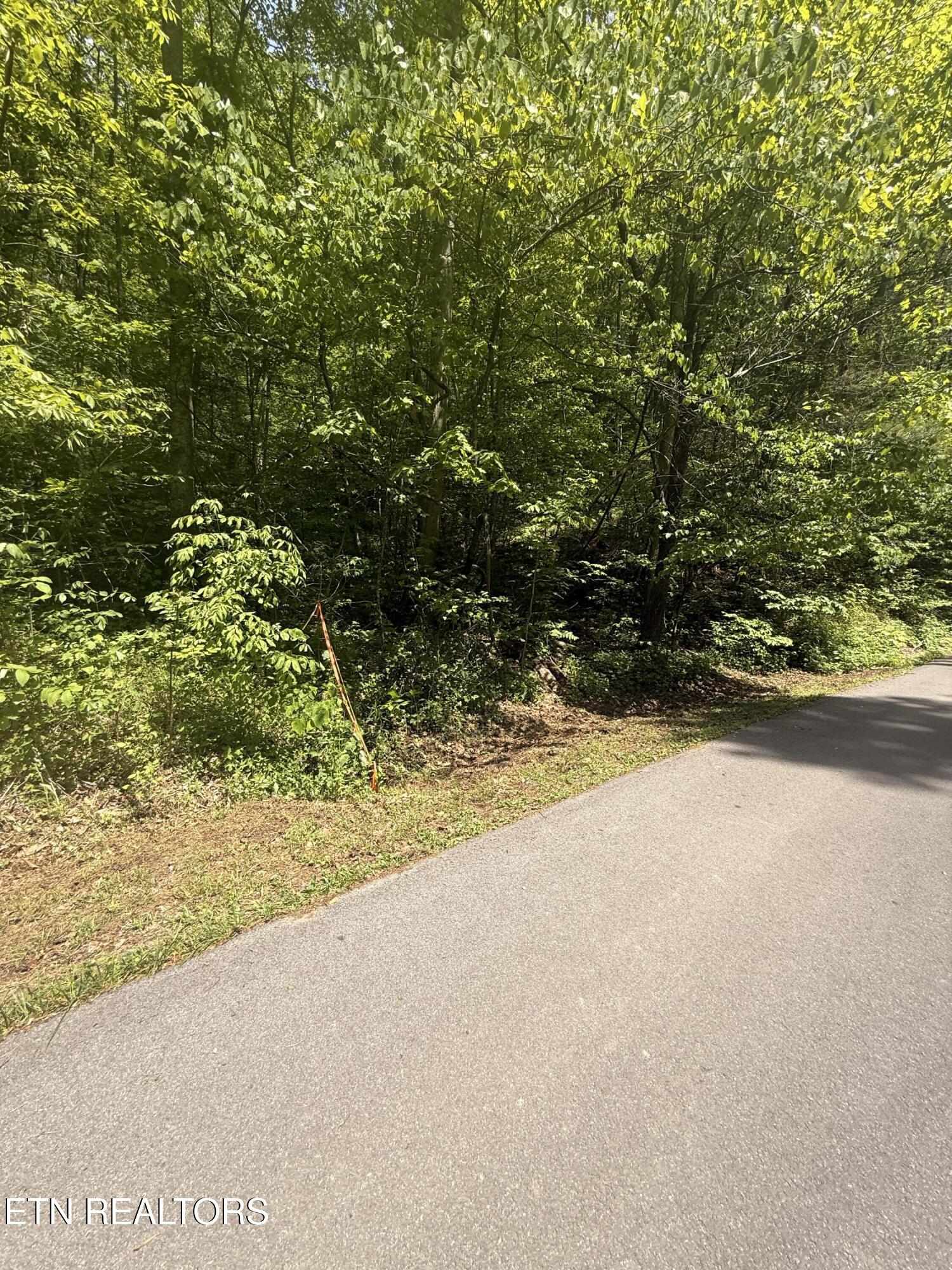 4045 Suttons Road Sevierville TN 37876
