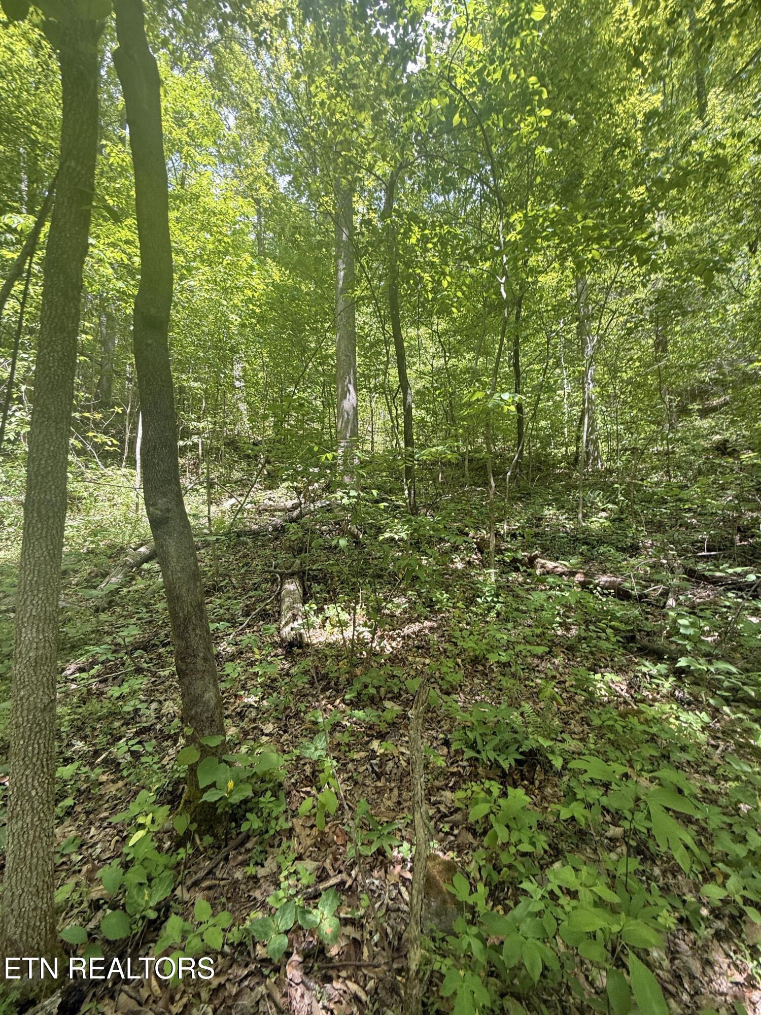 4045 Suttons Road Sevierville TN 37876