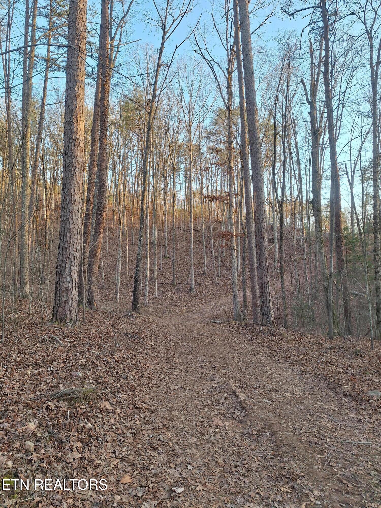 Lot 1 Mecca Pike Tellico Plains TN 37385