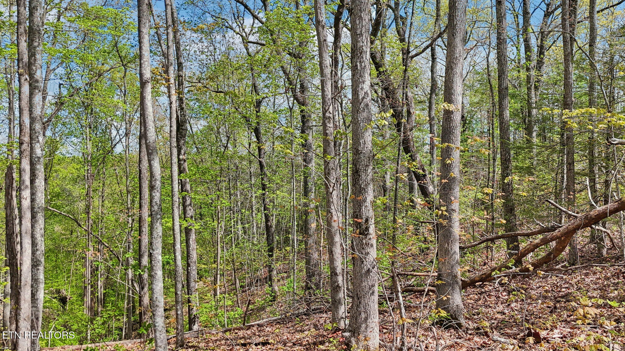 Cove Creek Way Sevierville TN 37862