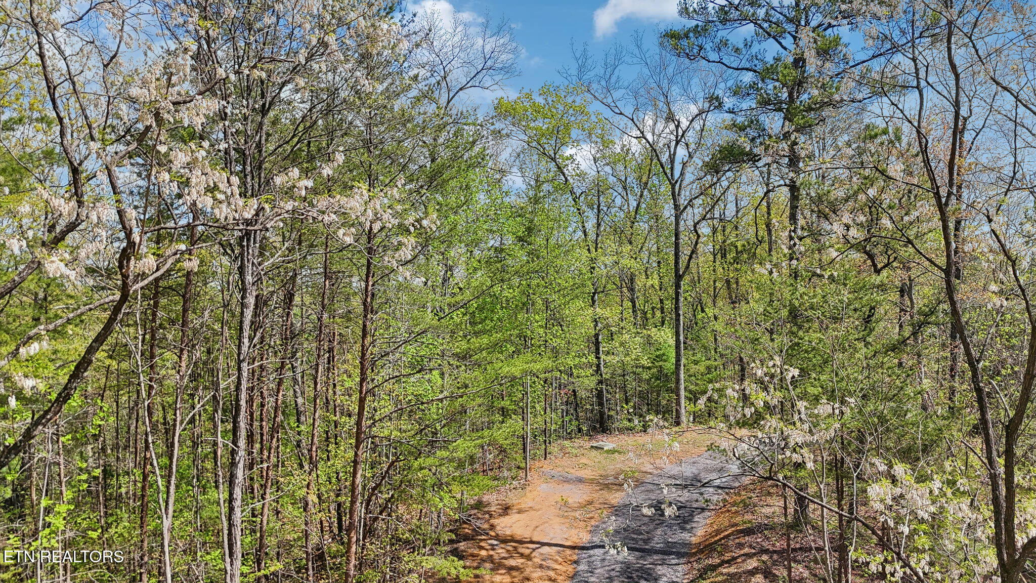 Cove Creek Way Sevierville TN 37862