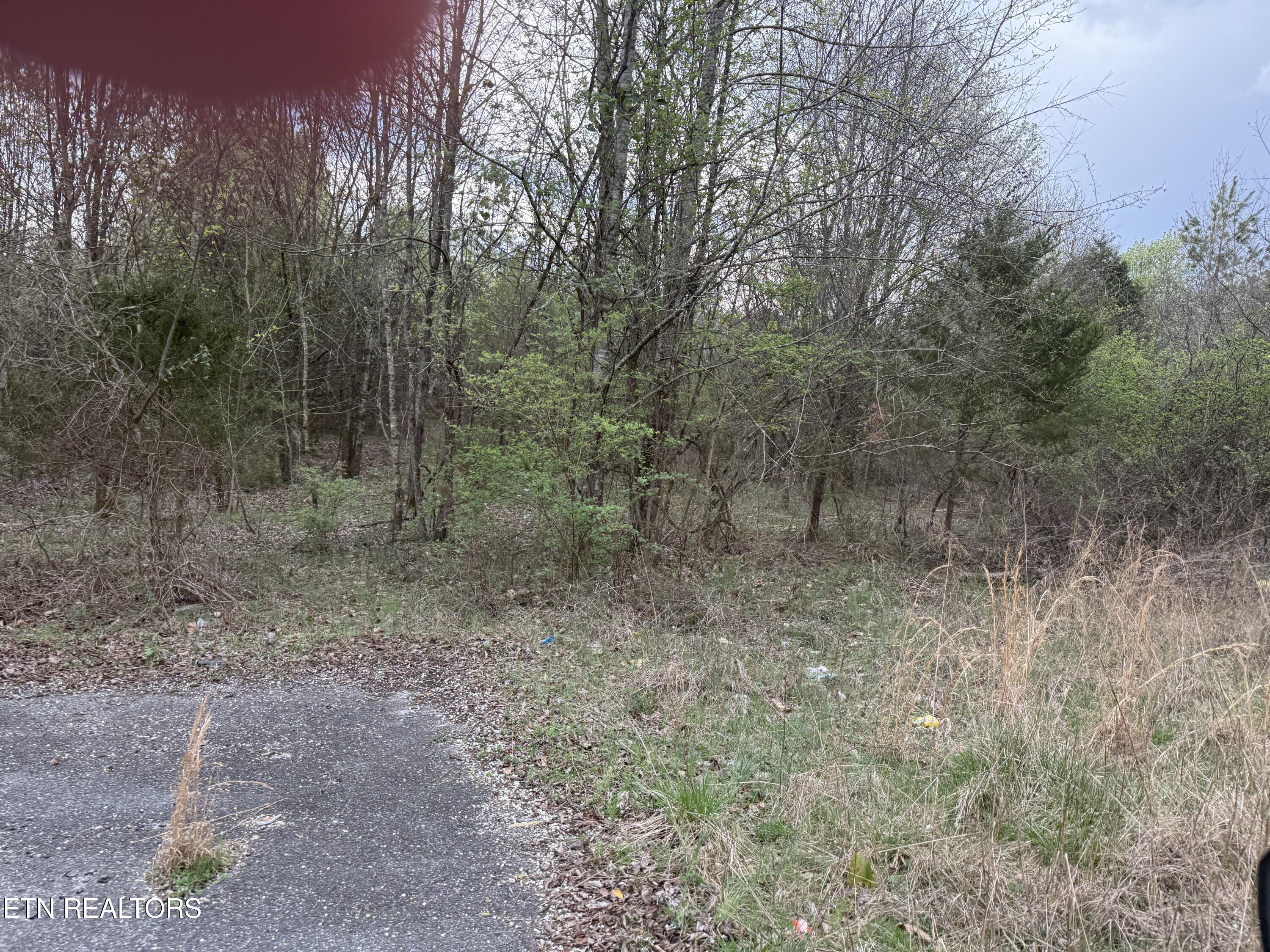183 Foxwood Drive Kingston TN 37763