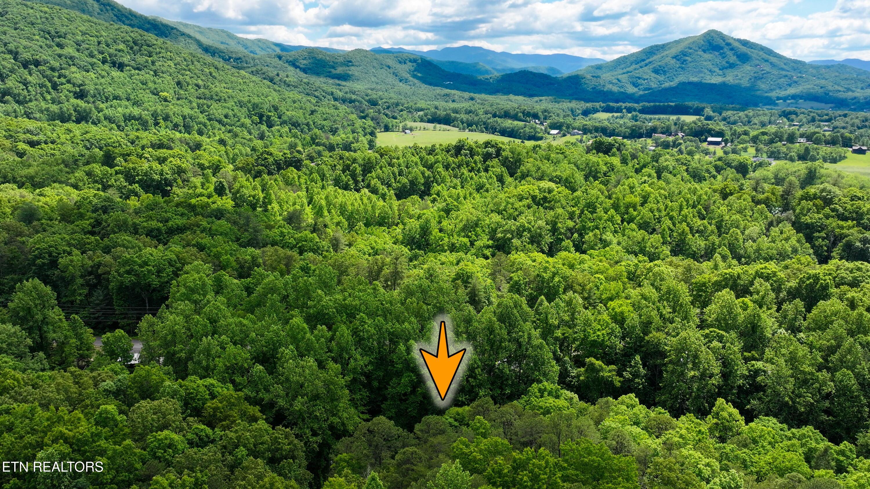 Covemont Lane Sevierville TN 37862