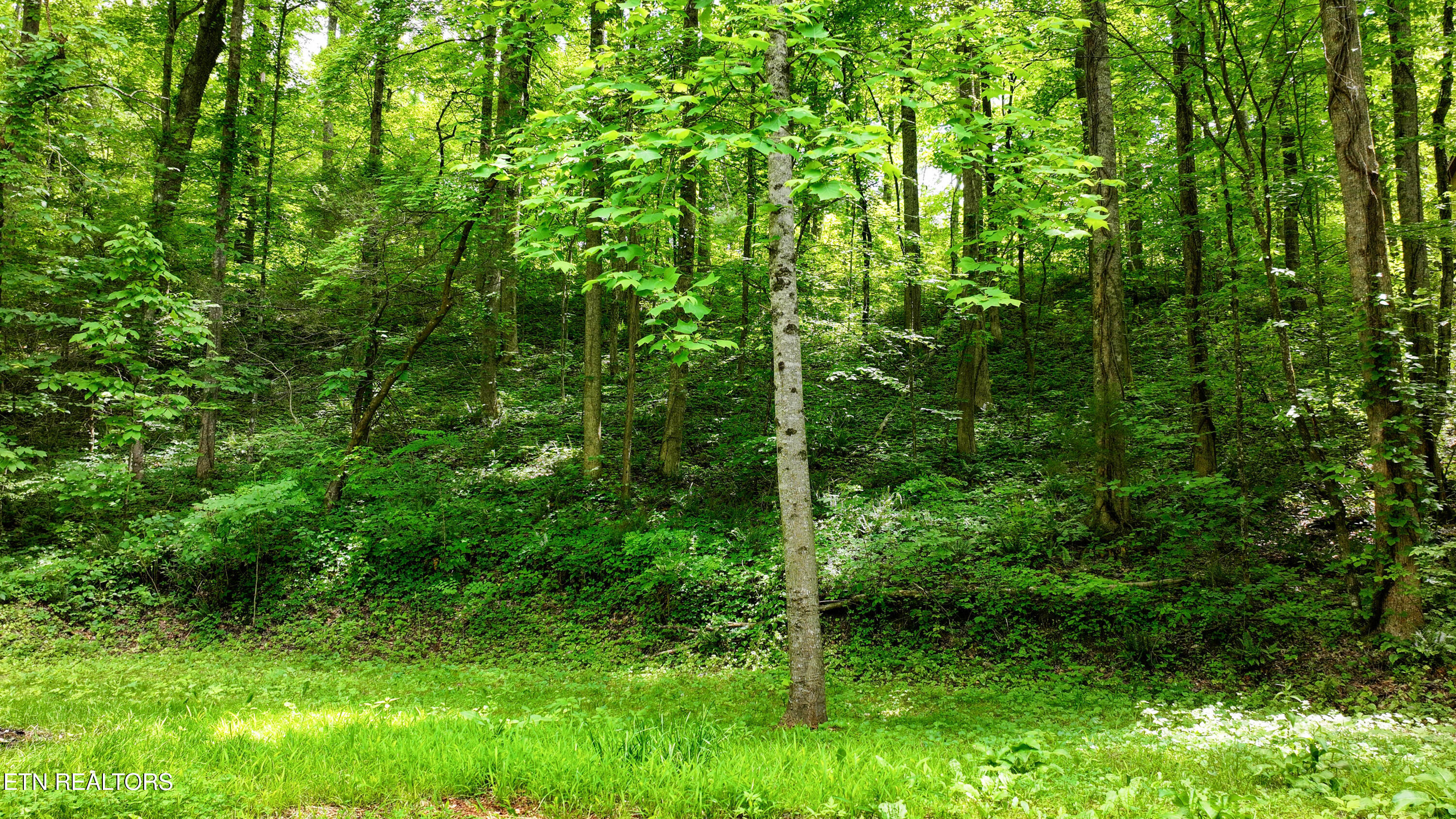 Covemont Lane Sevierville TN 37862