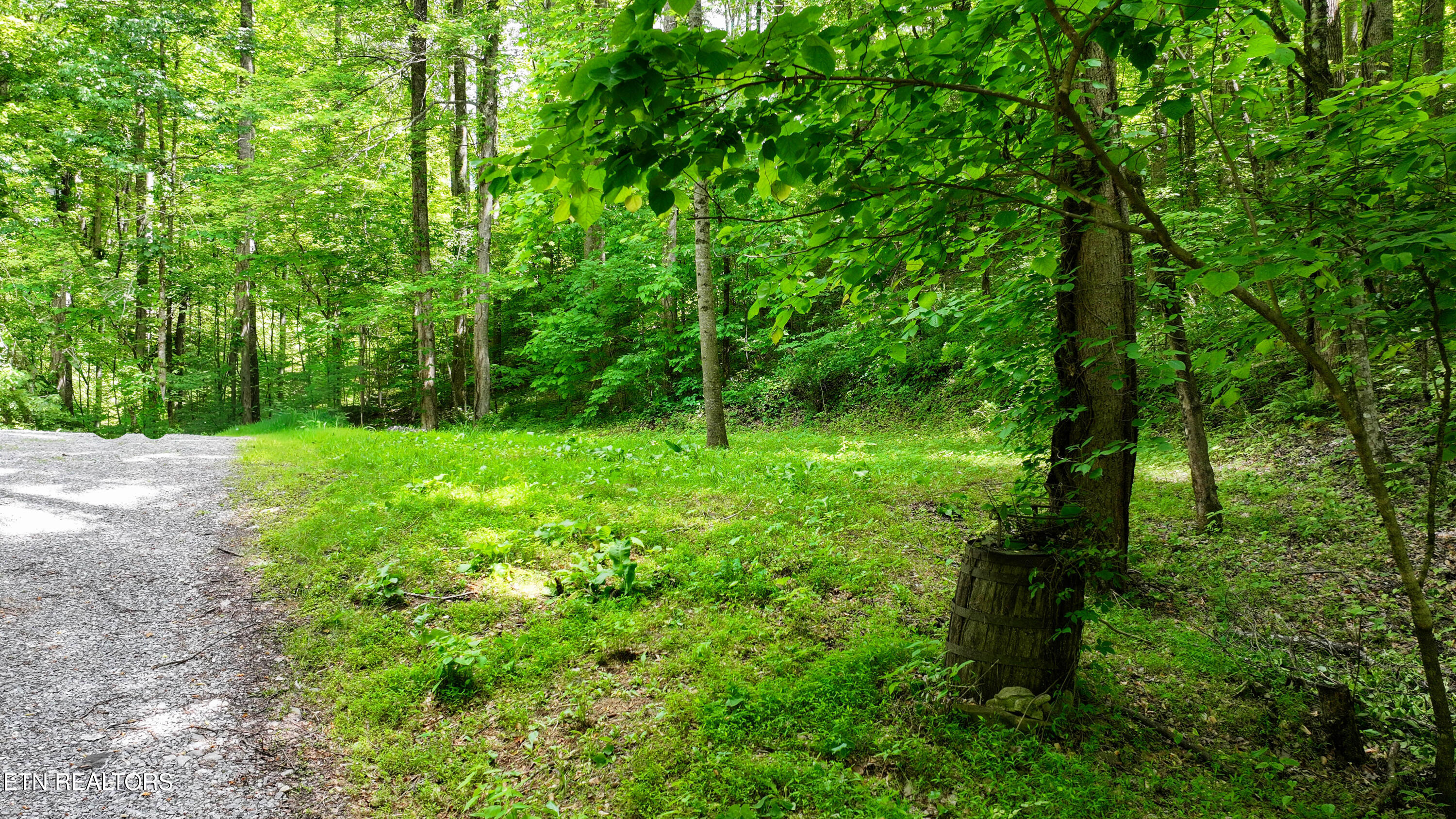 Covemont Lane Sevierville TN 37862