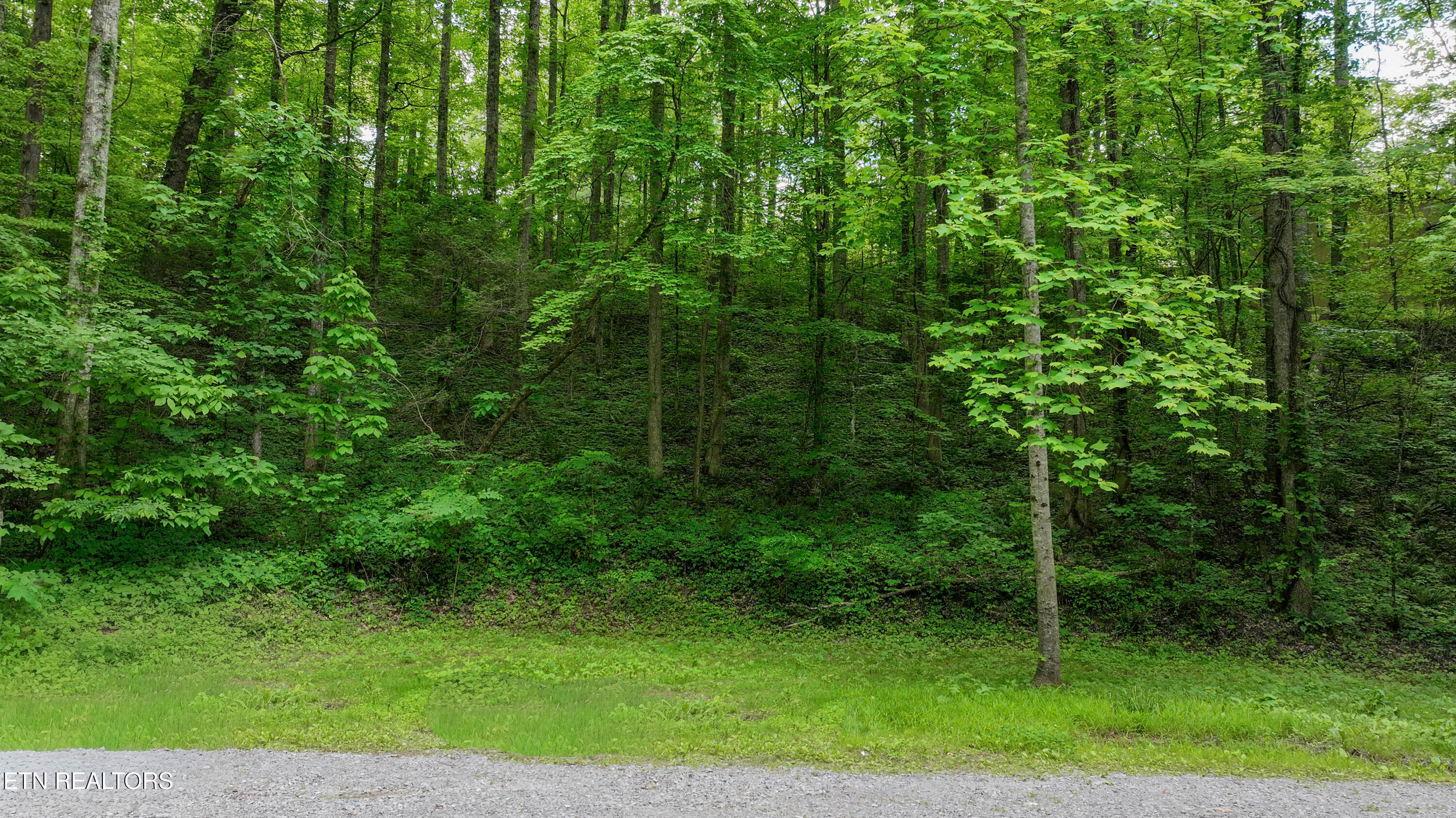 Covemont Lane Sevierville TN 37862