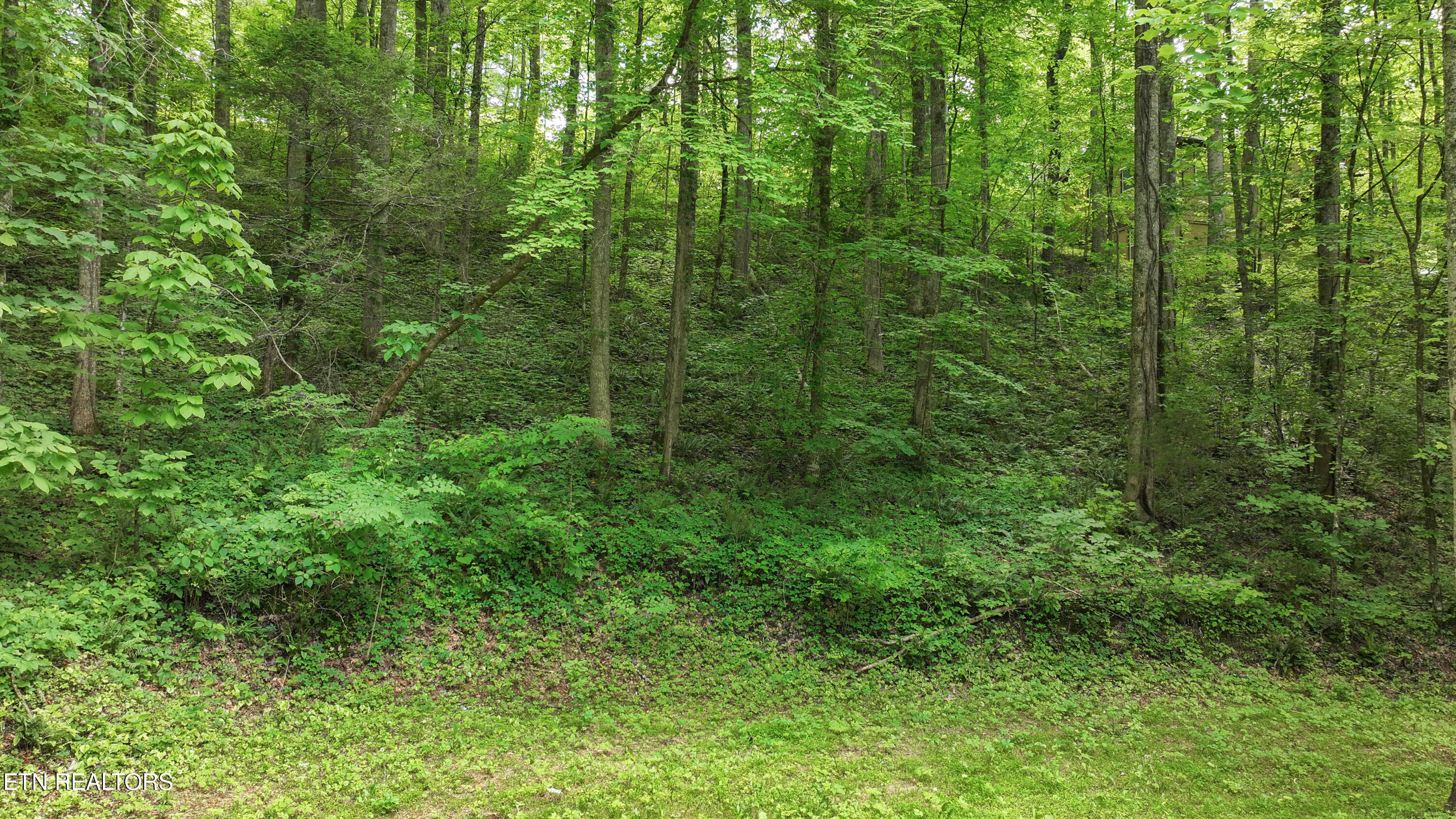 Covemont Lane Sevierville TN 37862