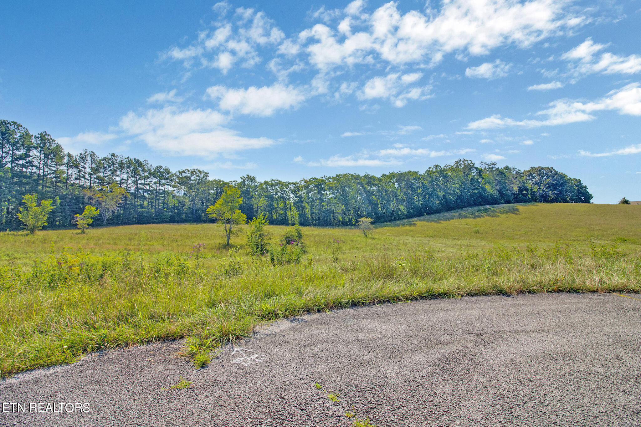 Lot 37 Estate Lane Crossville TN 38555