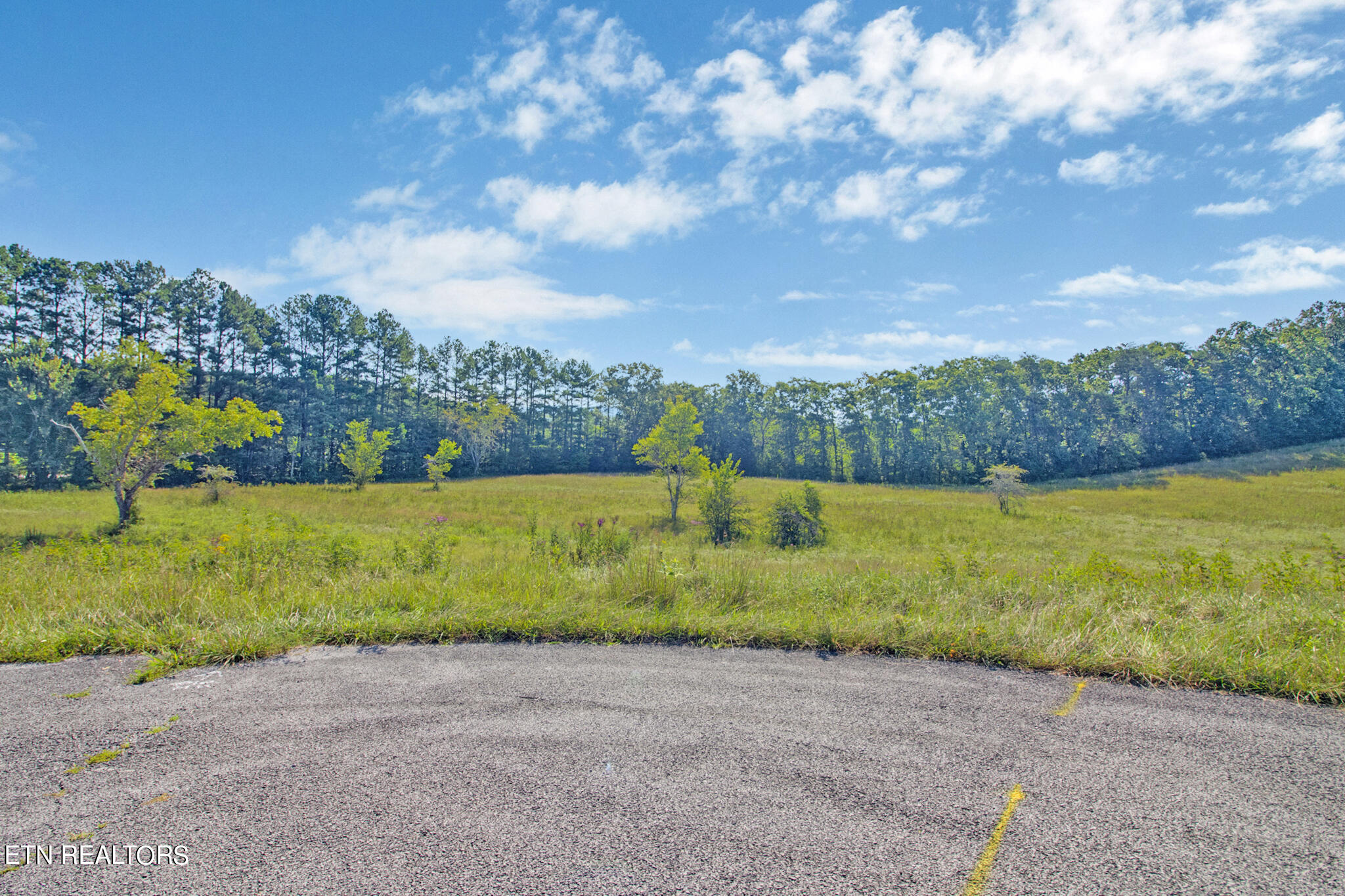 Lot 37 Estate Lane Crossville TN 38555