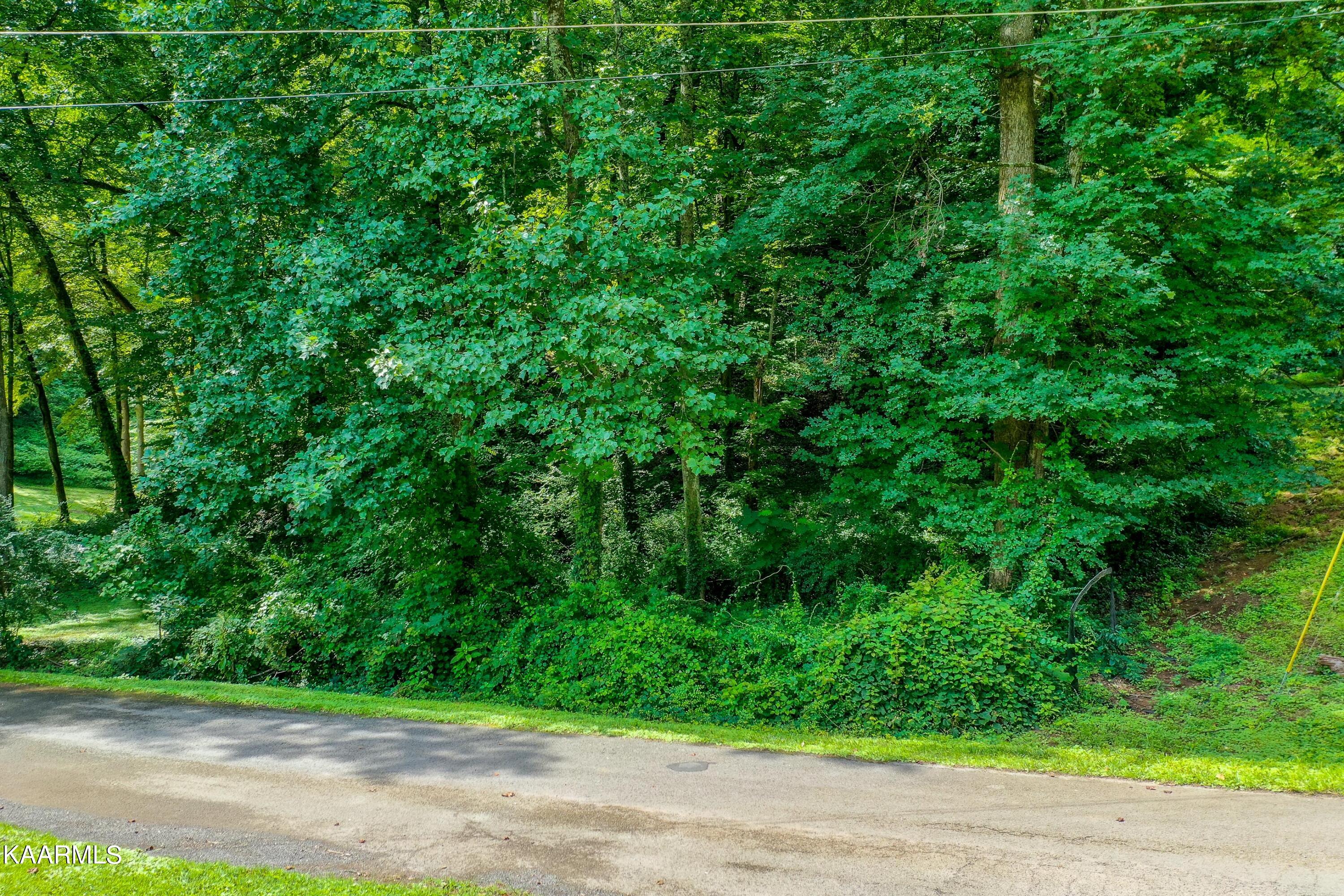 2632 SW Lynbrulee Lane Knoxville TN 37920