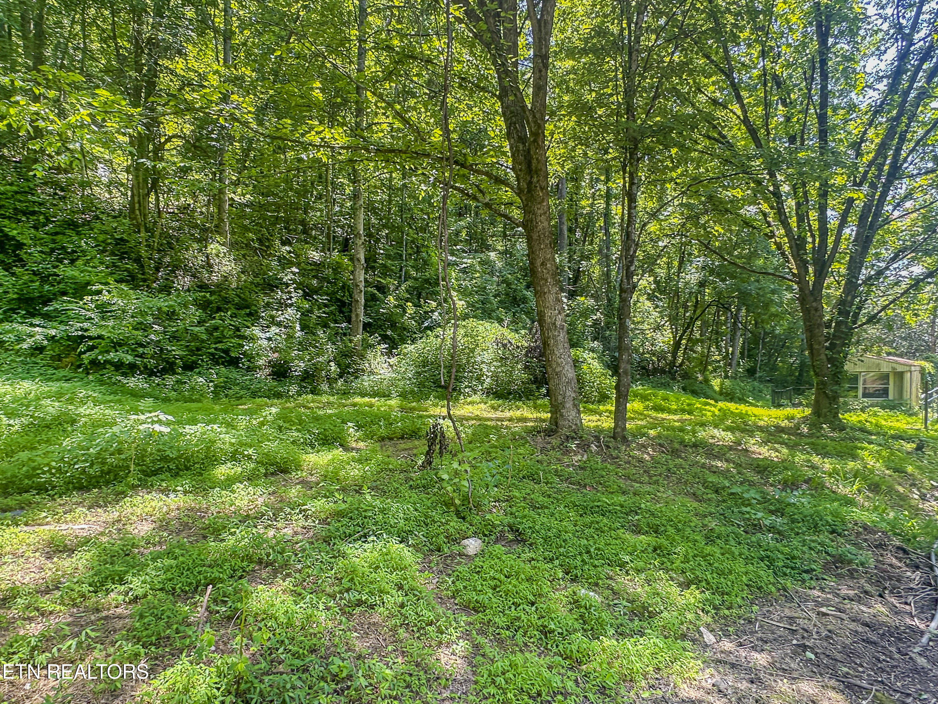 9109 Pickens Gap Road Knoxville TN 37920
