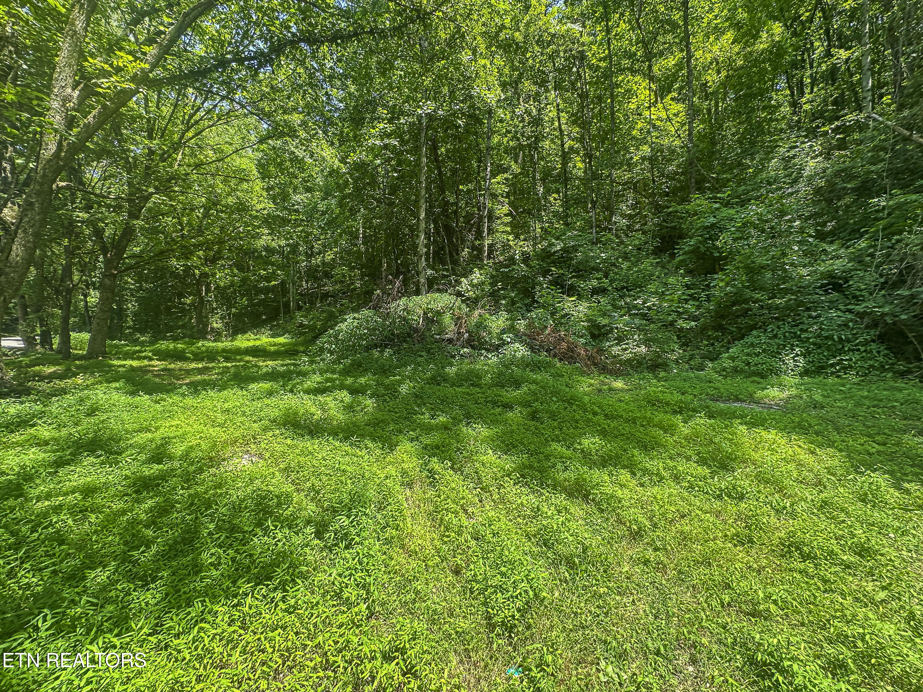 9109 Pickens Gap Road Knoxville TN 37920