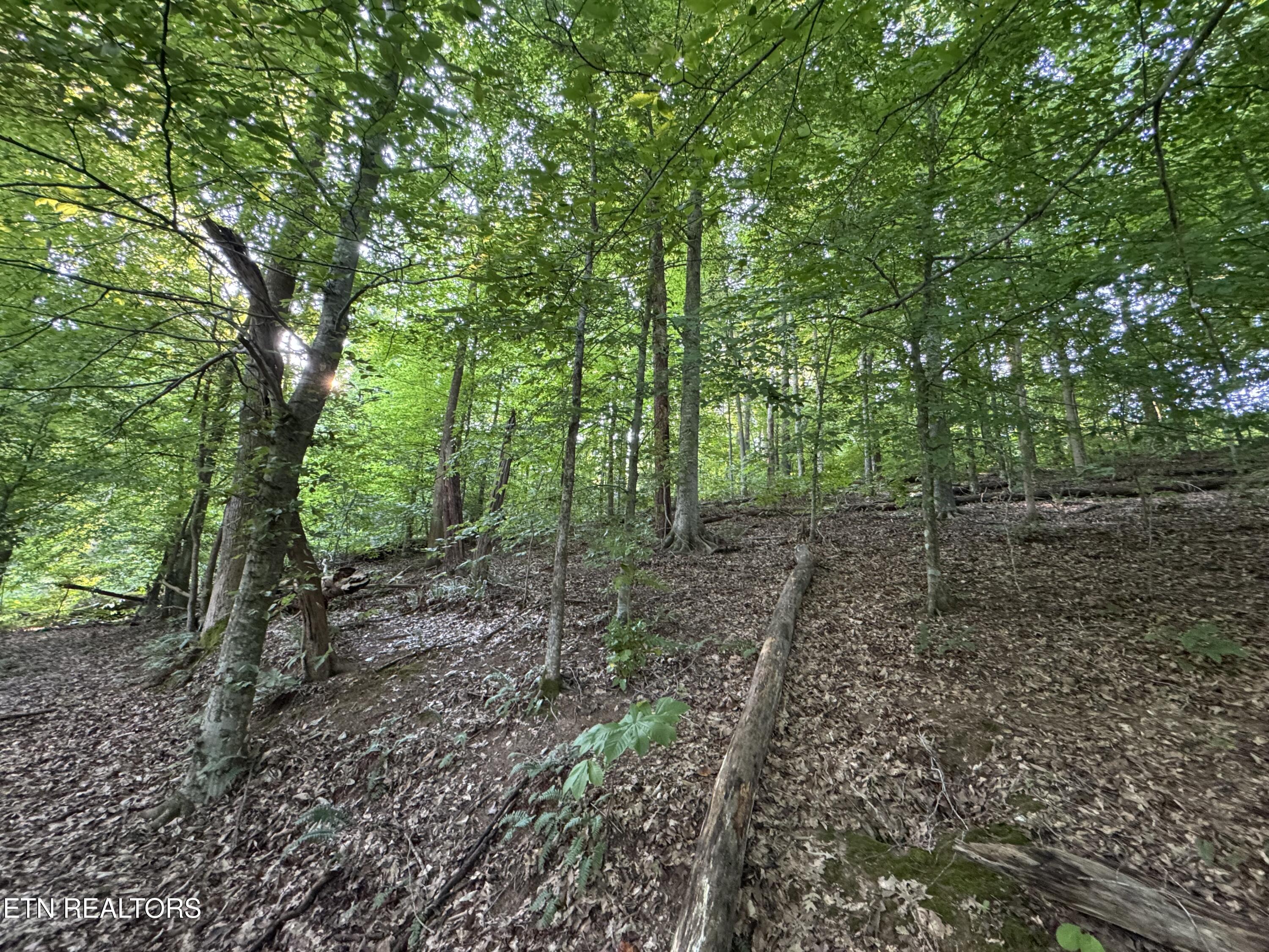 2525 Woodland Reserve Lane Knoxville TN 37919