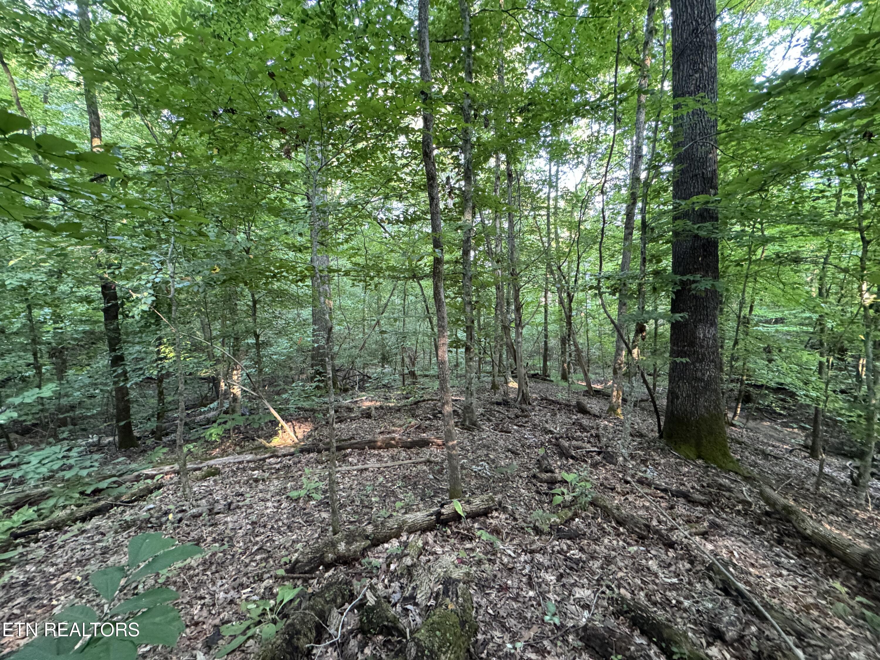 2525 Woodland Reserve Lane Knoxville TN 37919