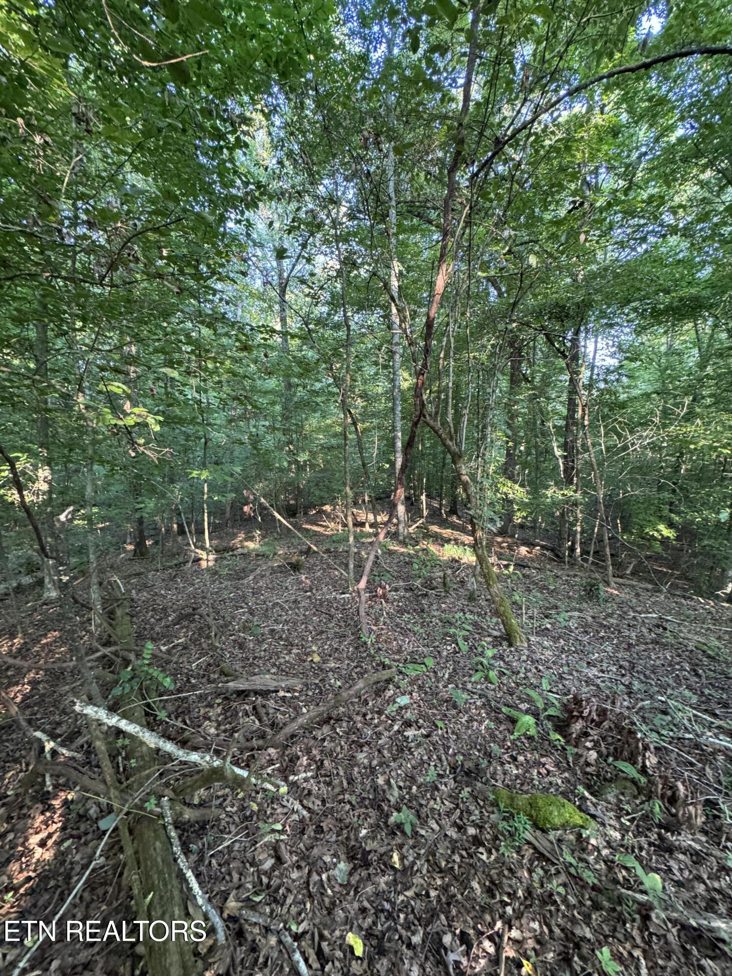 2525 Woodland Reserve Lane Knoxville TN 37919