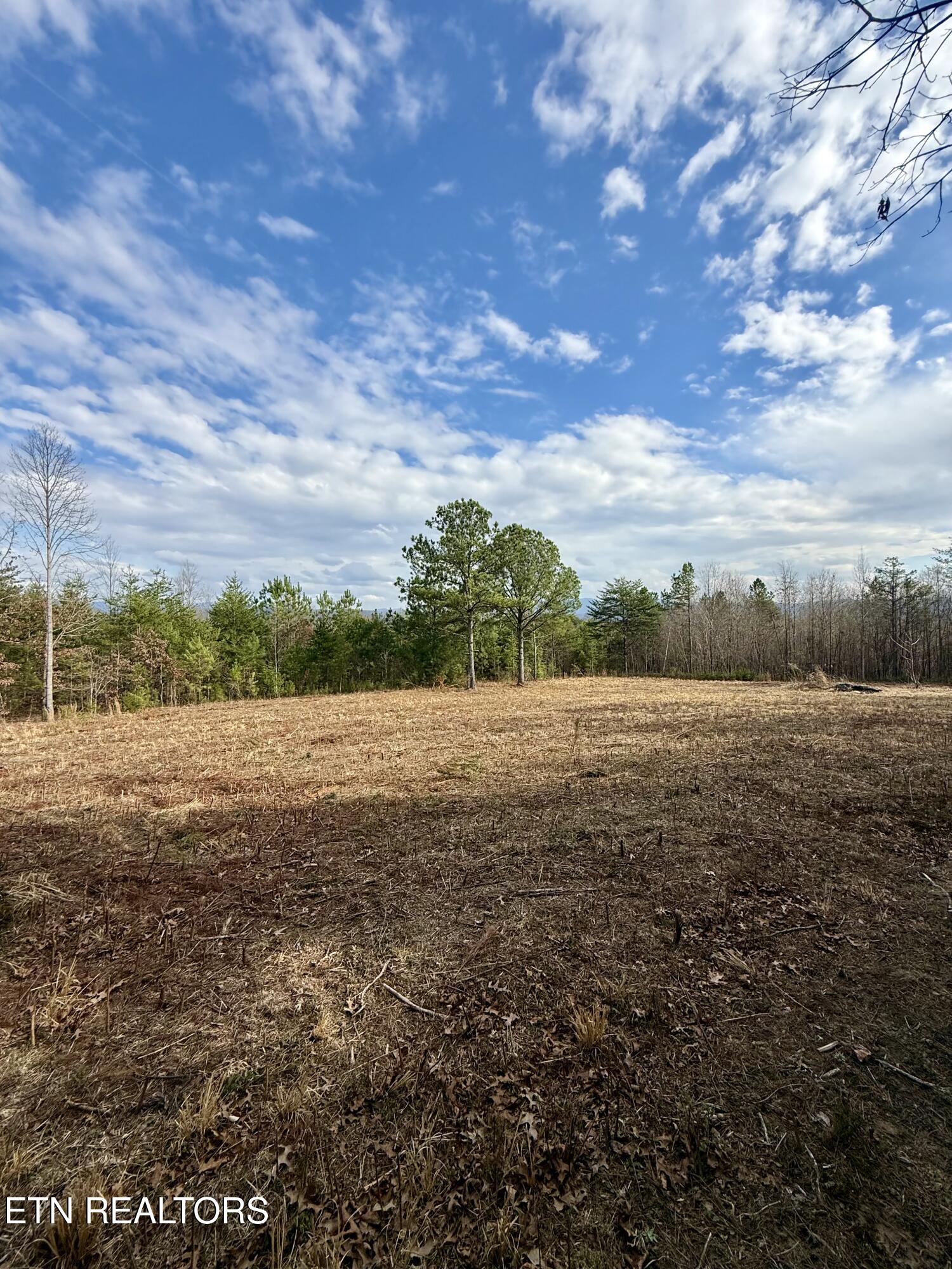 Lots 8 & 9 Curtis Road Tellico Plains TN 37385