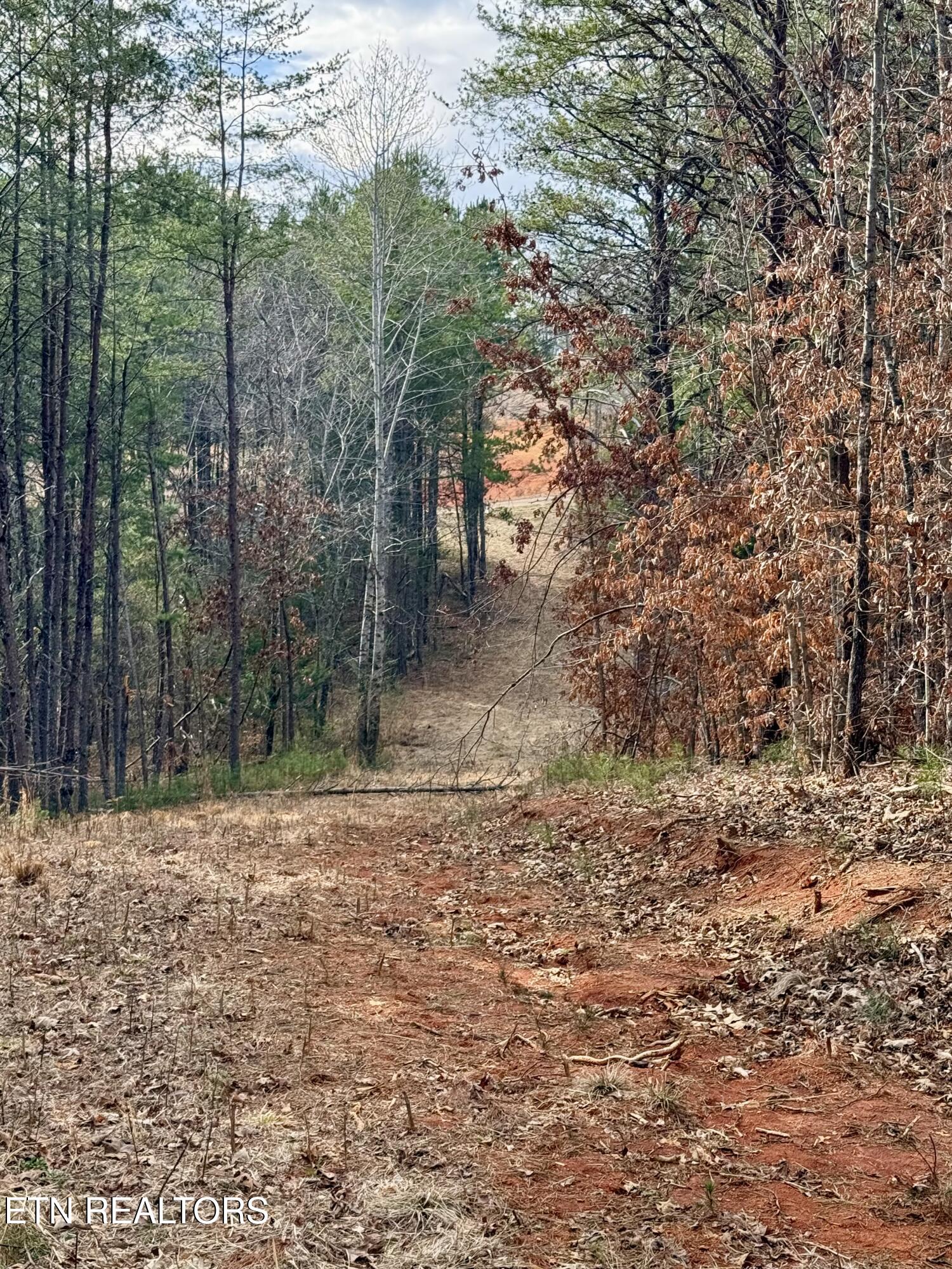 Lots 8 & 9 Curtis Road Tellico Plains TN 37385