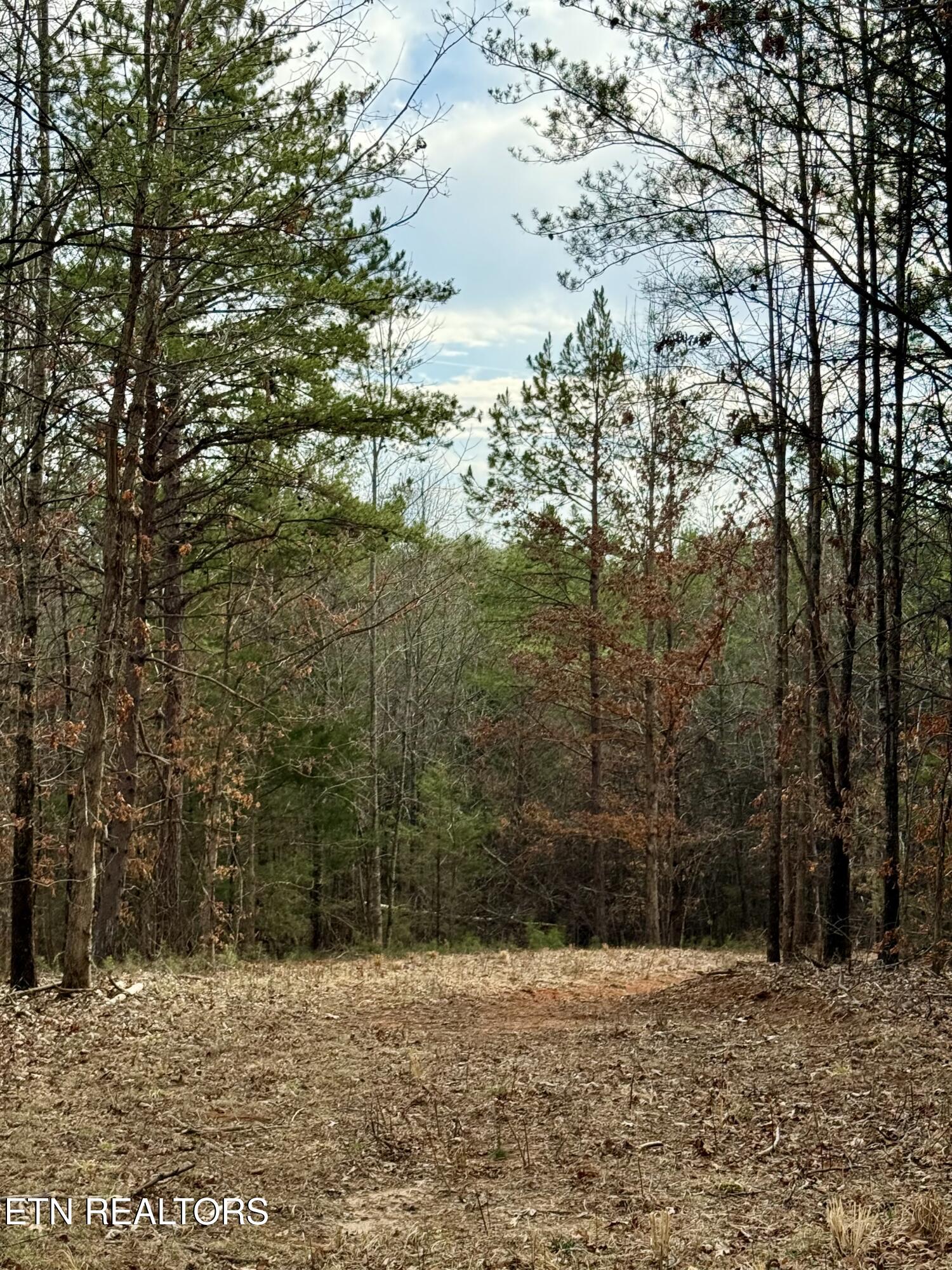 Lots 8 & 9 Curtis Road Tellico Plains TN 37385