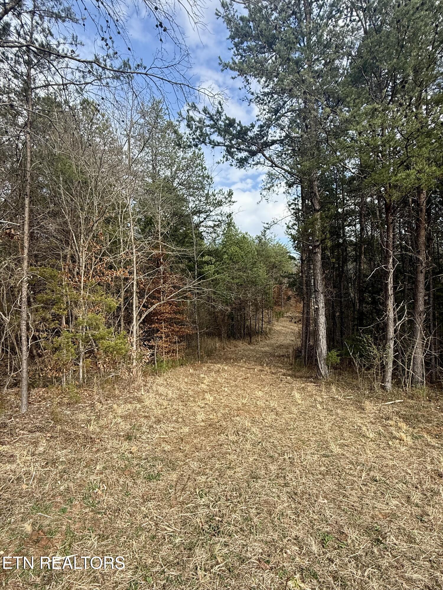 Lots 8 & 9 Curtis Road Tellico Plains TN 37385