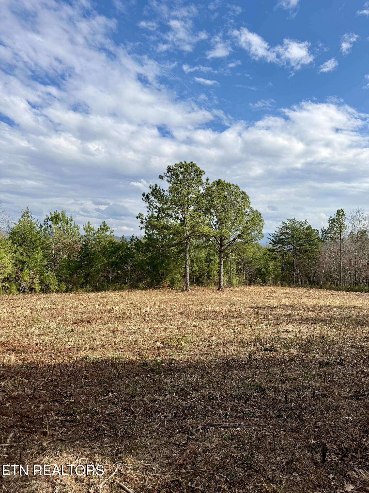 Lots 8 & 9 Curtis Road Tellico Plains TN 37385