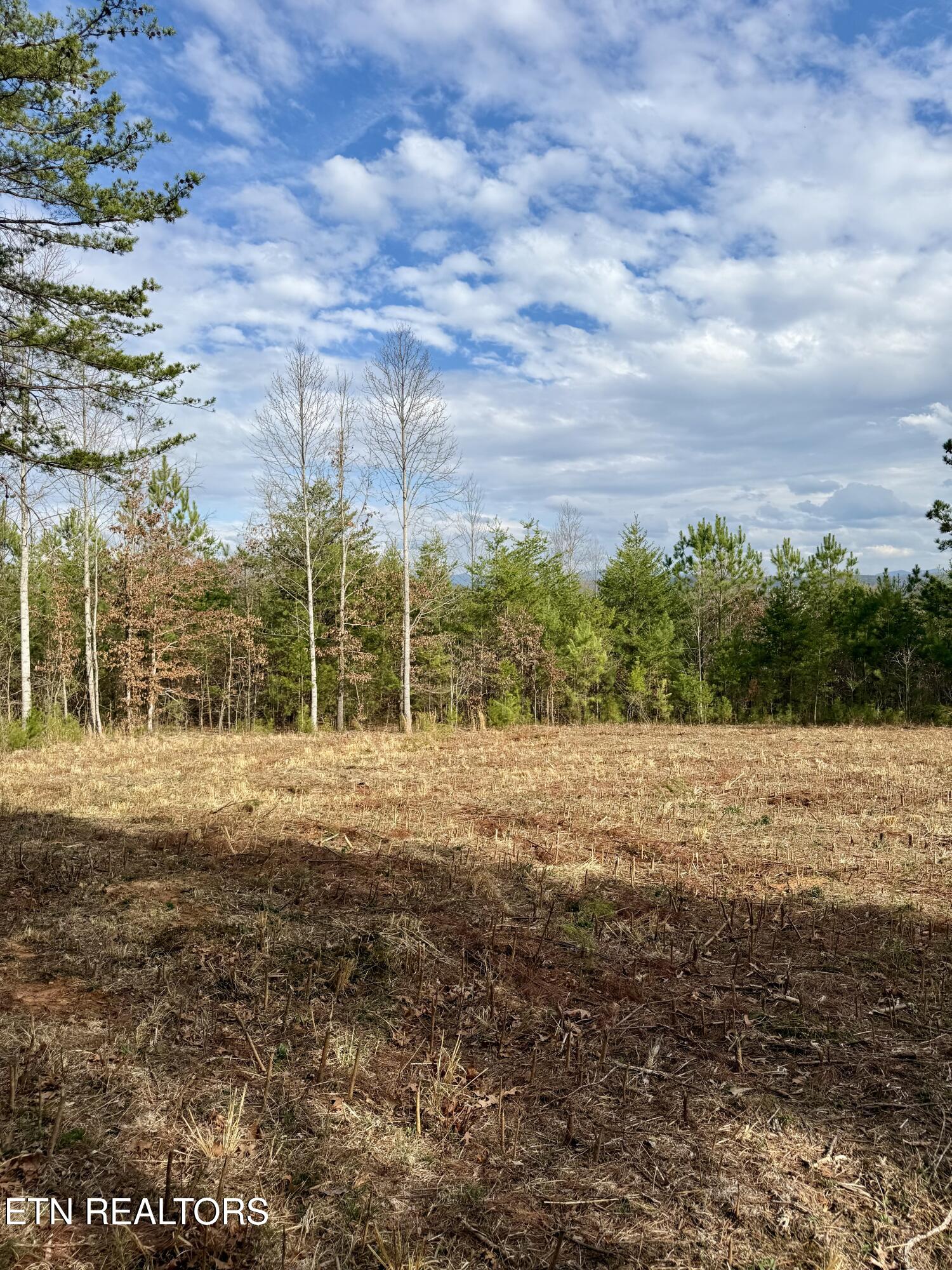 Lots 8 & 9 Curtis Road Tellico Plains TN 37385