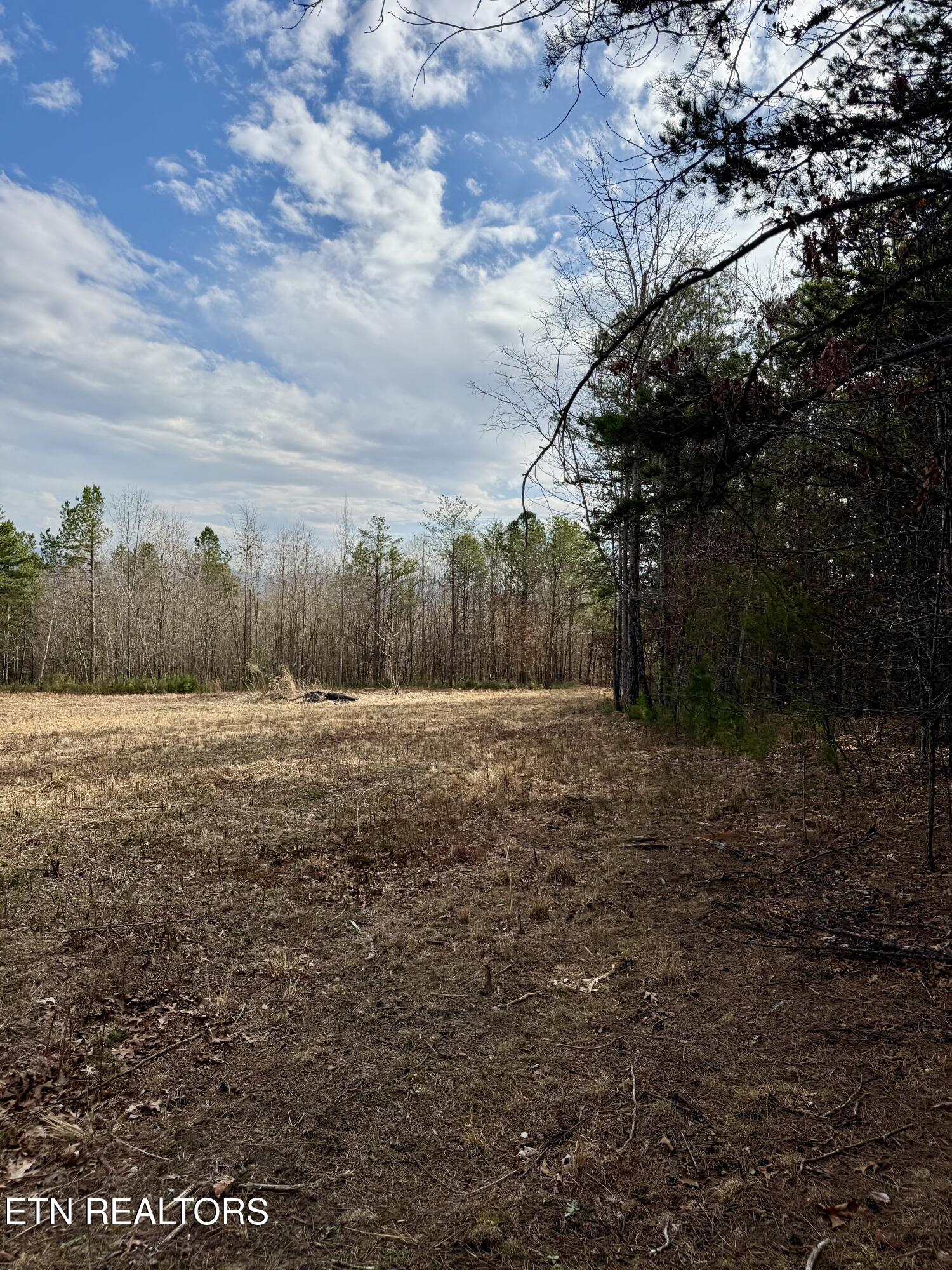 Lots 8 & 9 Curtis Road Tellico Plains TN 37385