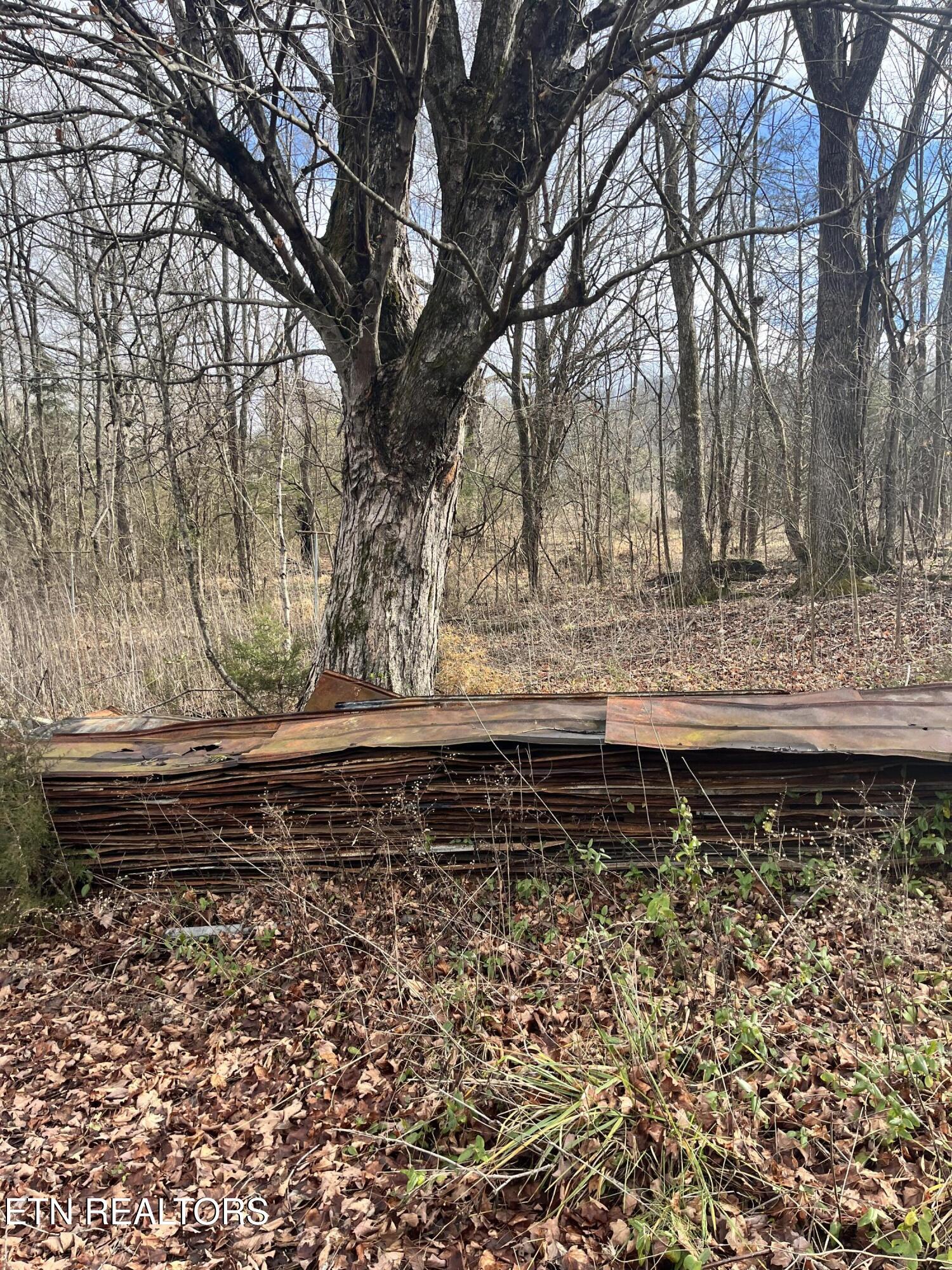 7875 Highway 131 Washburn TN 37888