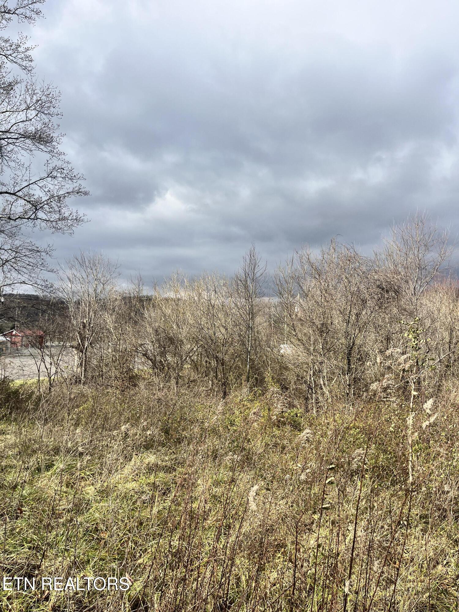 7875 Highway 131 Washburn TN 37888