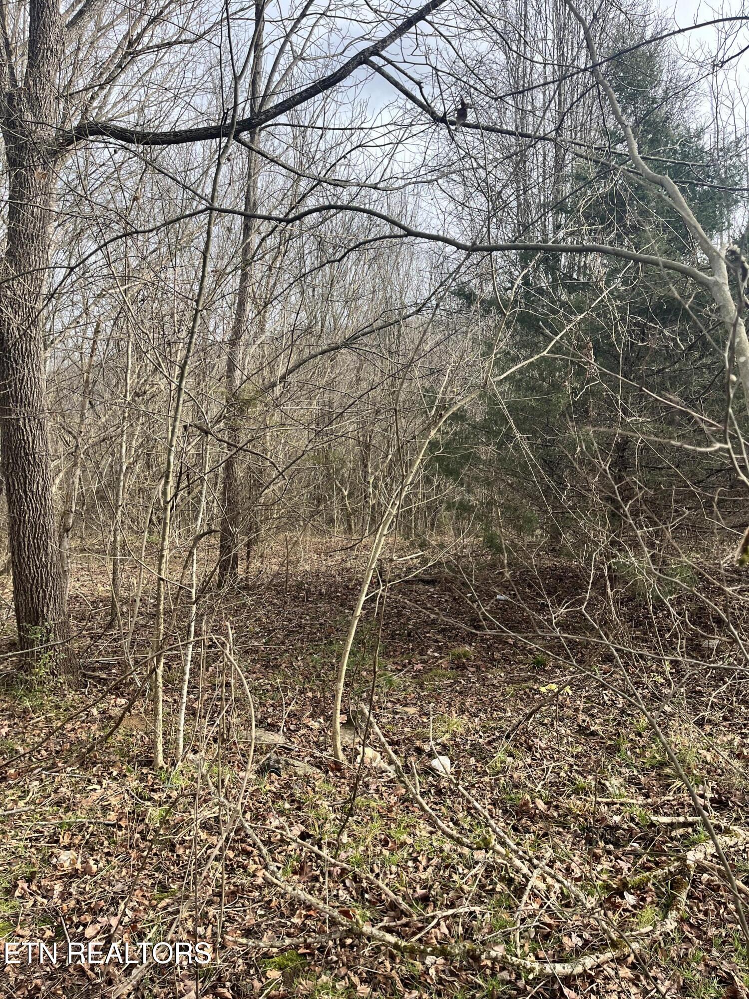 7875 Highway 131 Washburn TN 37888