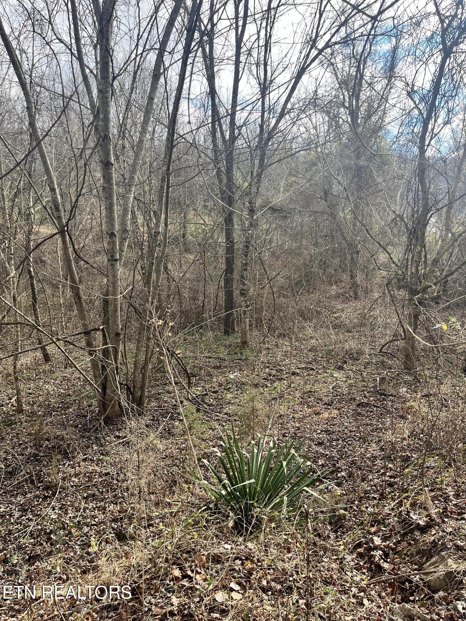 7875 Highway 131 Washburn TN 37888