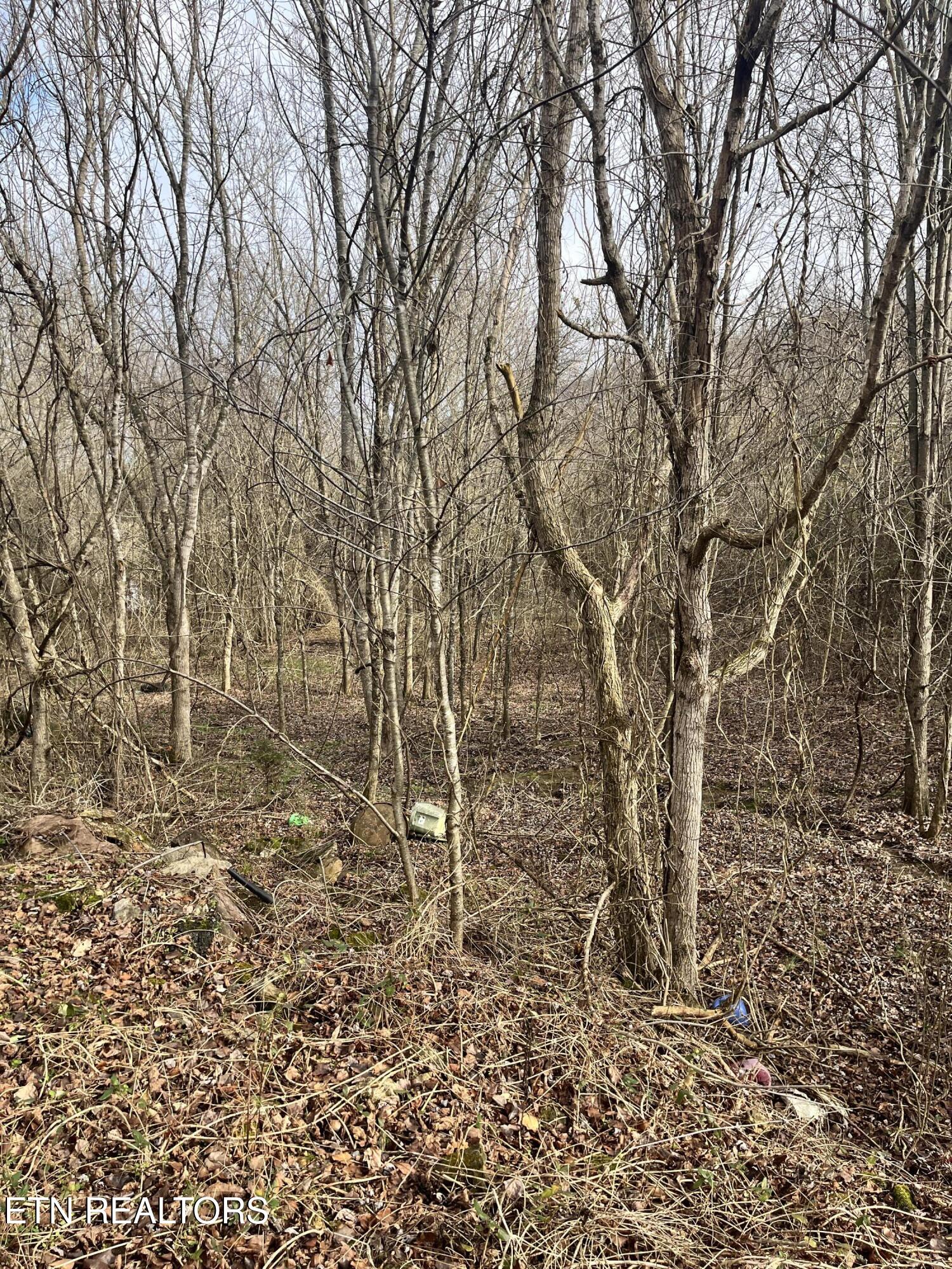 7875 Highway 131 Washburn TN 37888