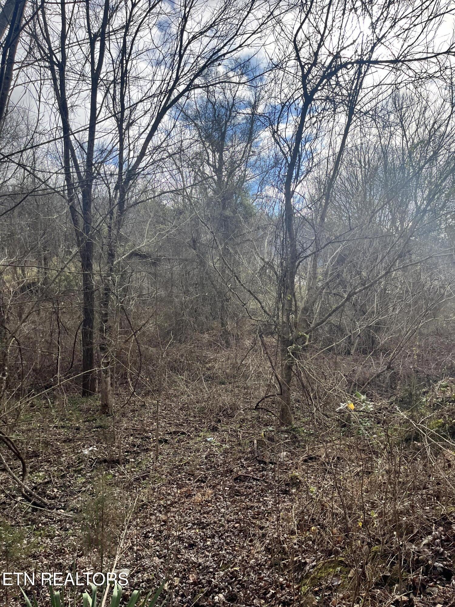 7875 Highway 131 Washburn TN 37888