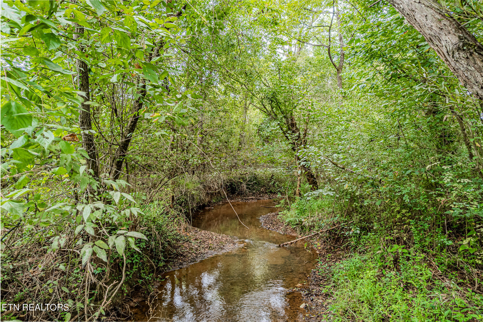 County Road 432 Englewood TN 37329