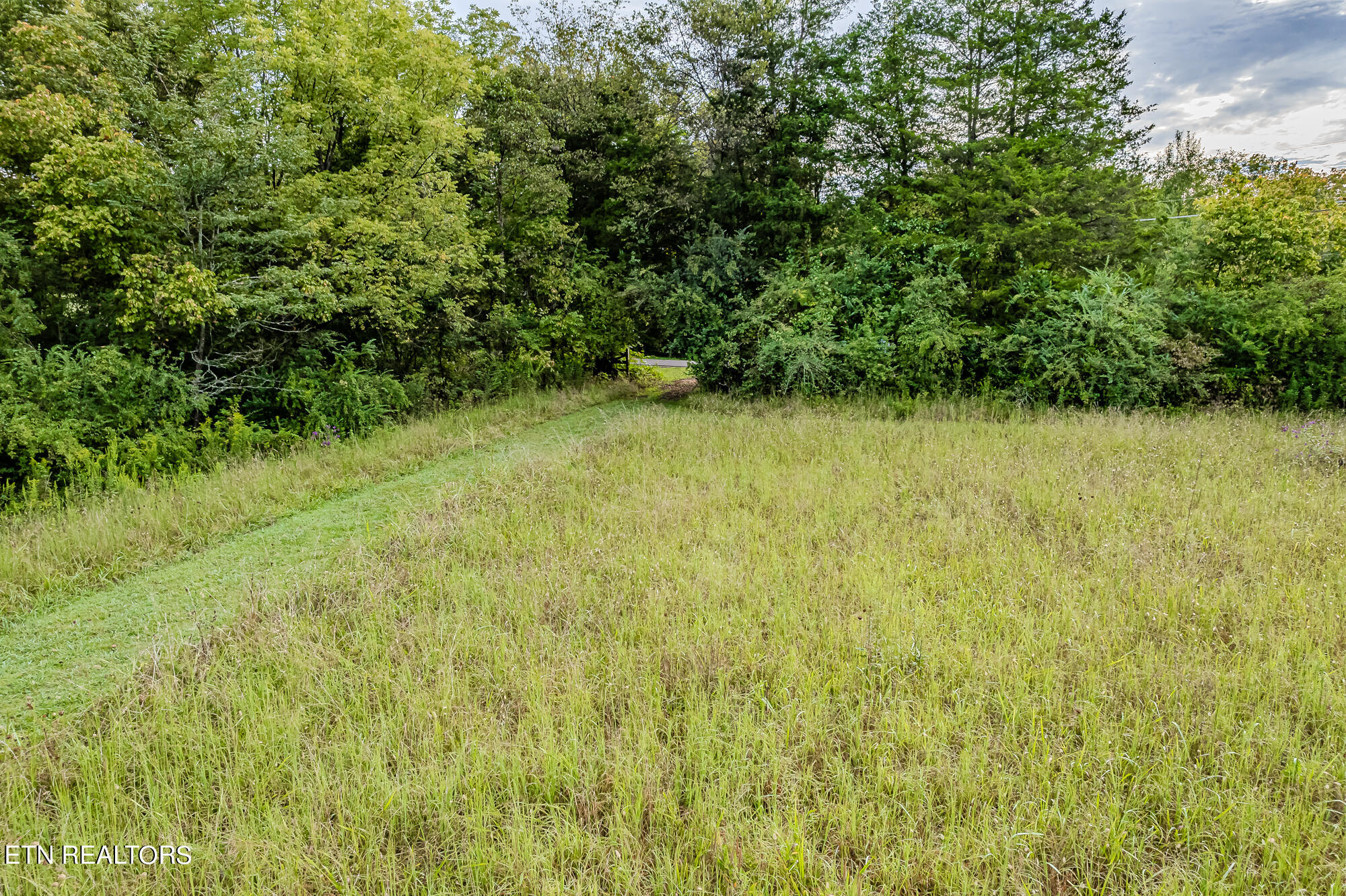 County Road 432 Englewood TN 37329