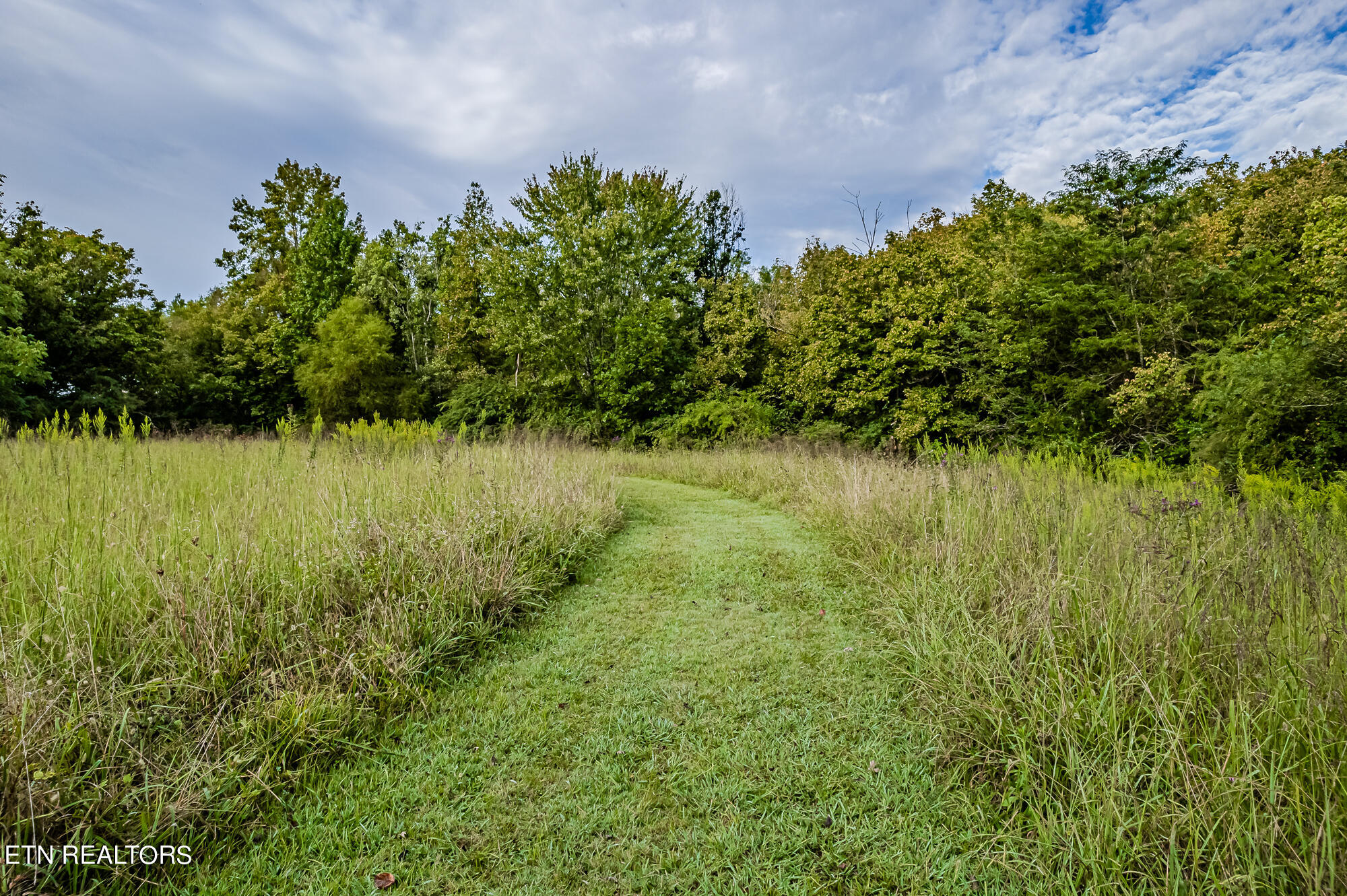 County Road 432 Englewood TN 37329