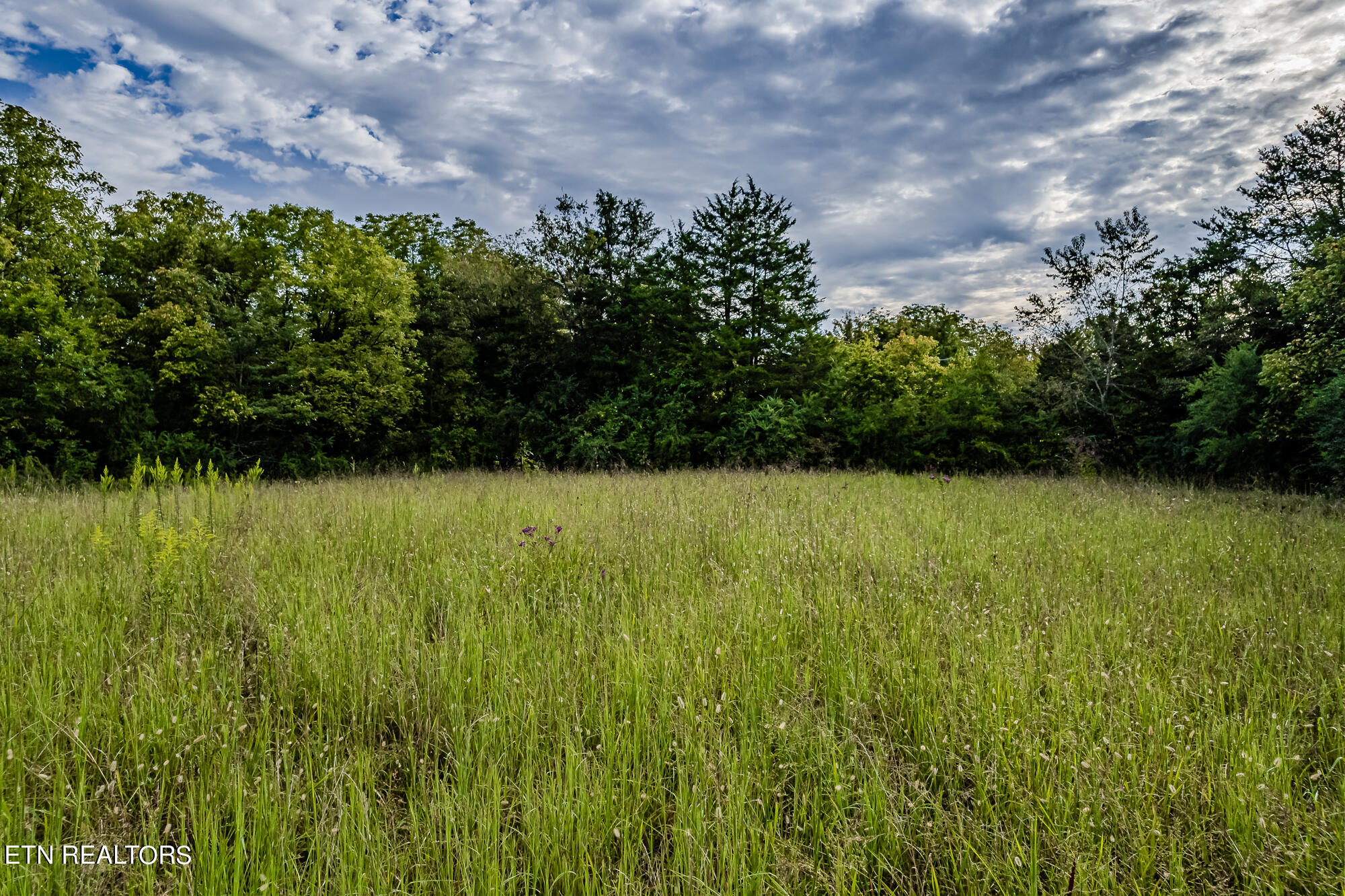 County Road 432 Englewood TN 37329