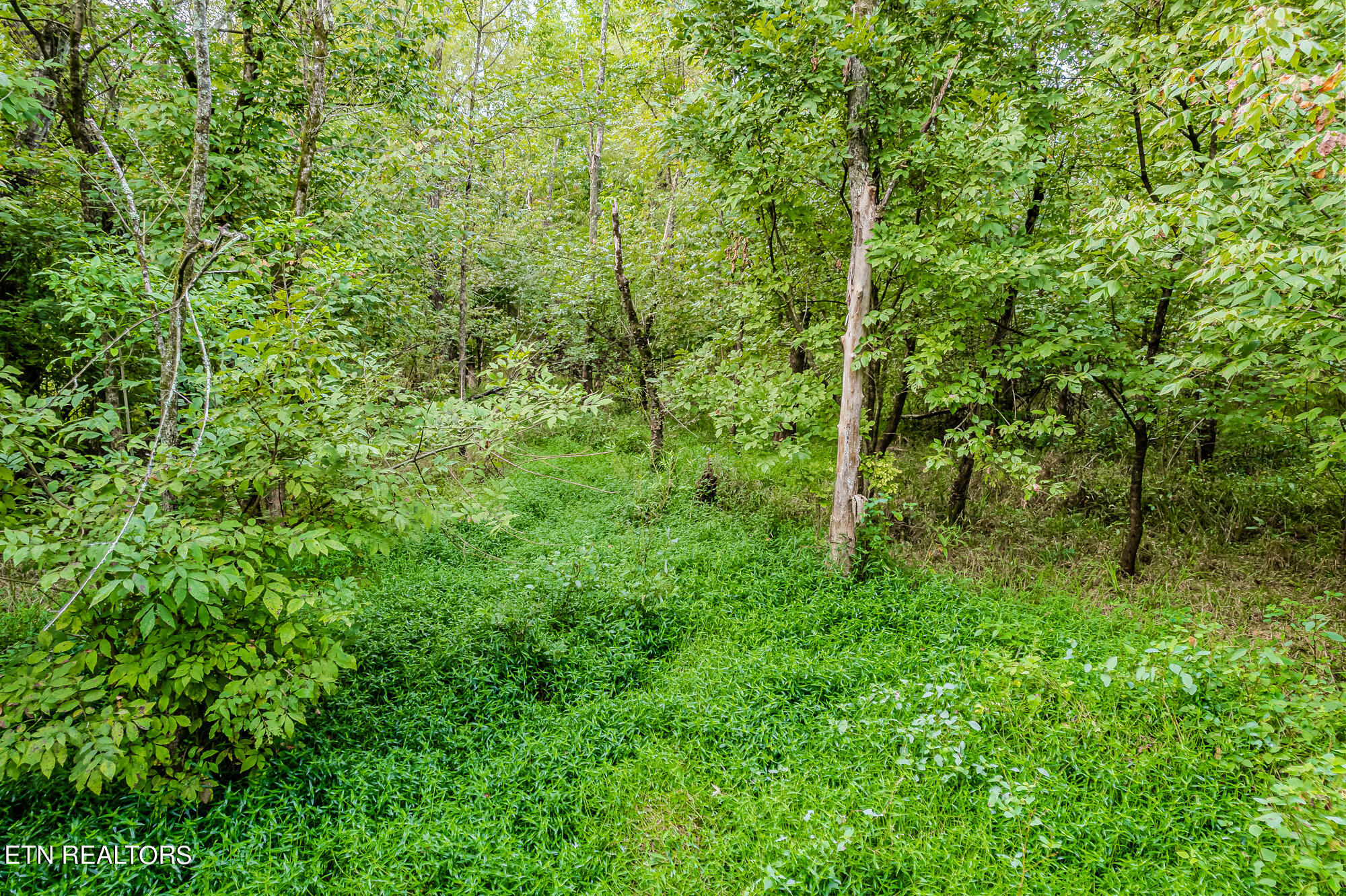 County Road 432 Englewood TN 37329