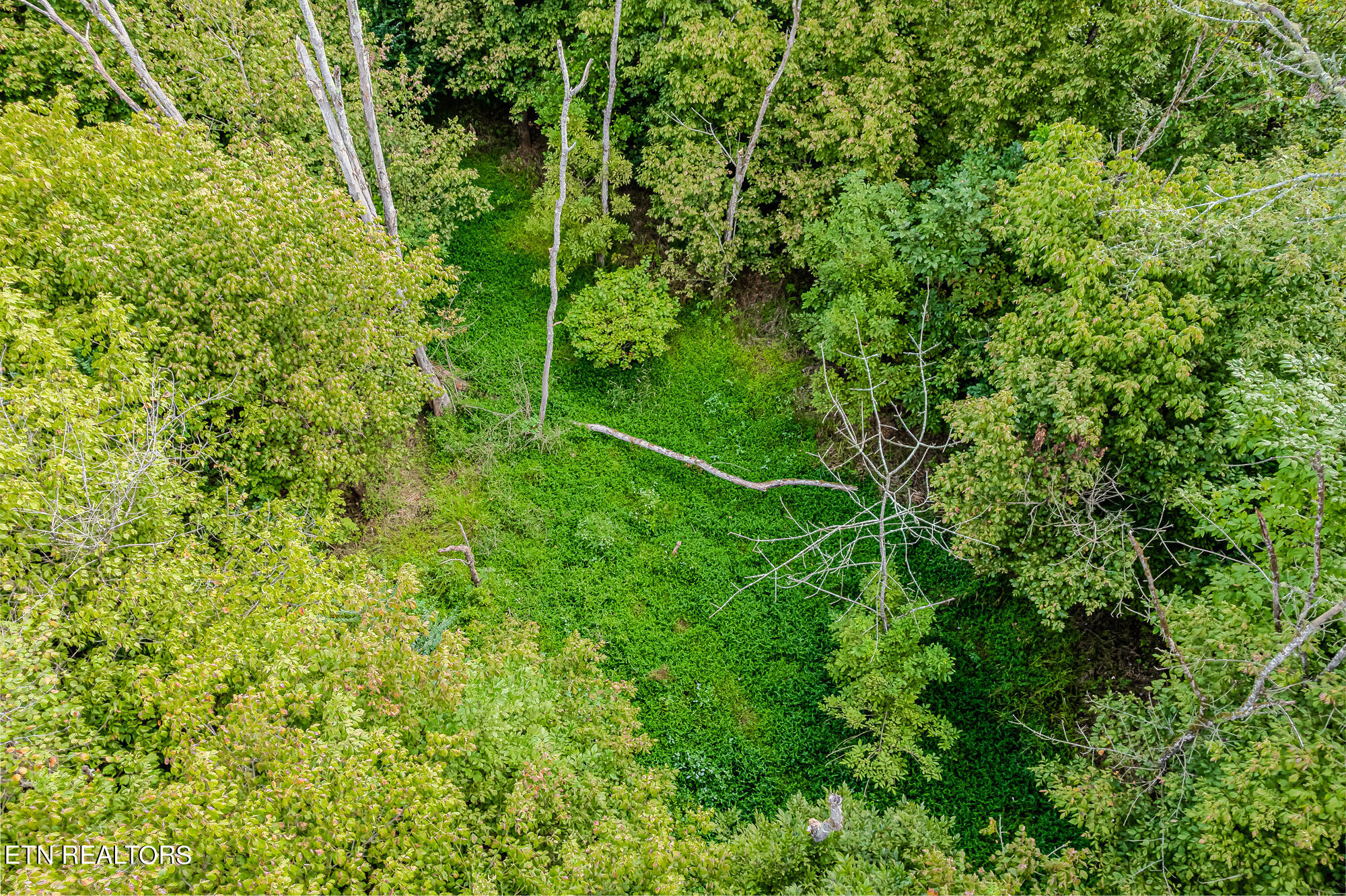 County Road 432 Englewood TN 37329